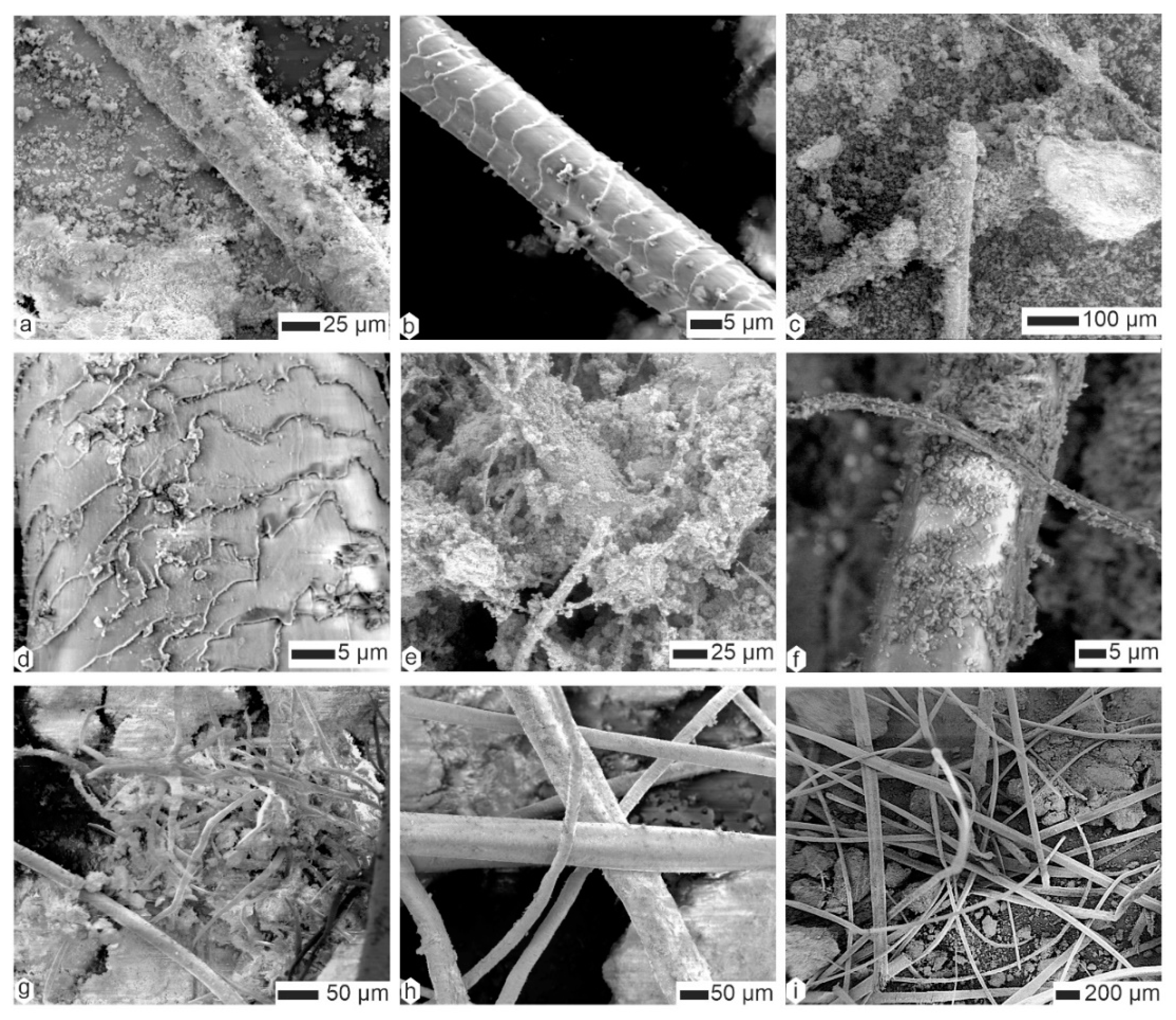 Animals 15 01145 g008