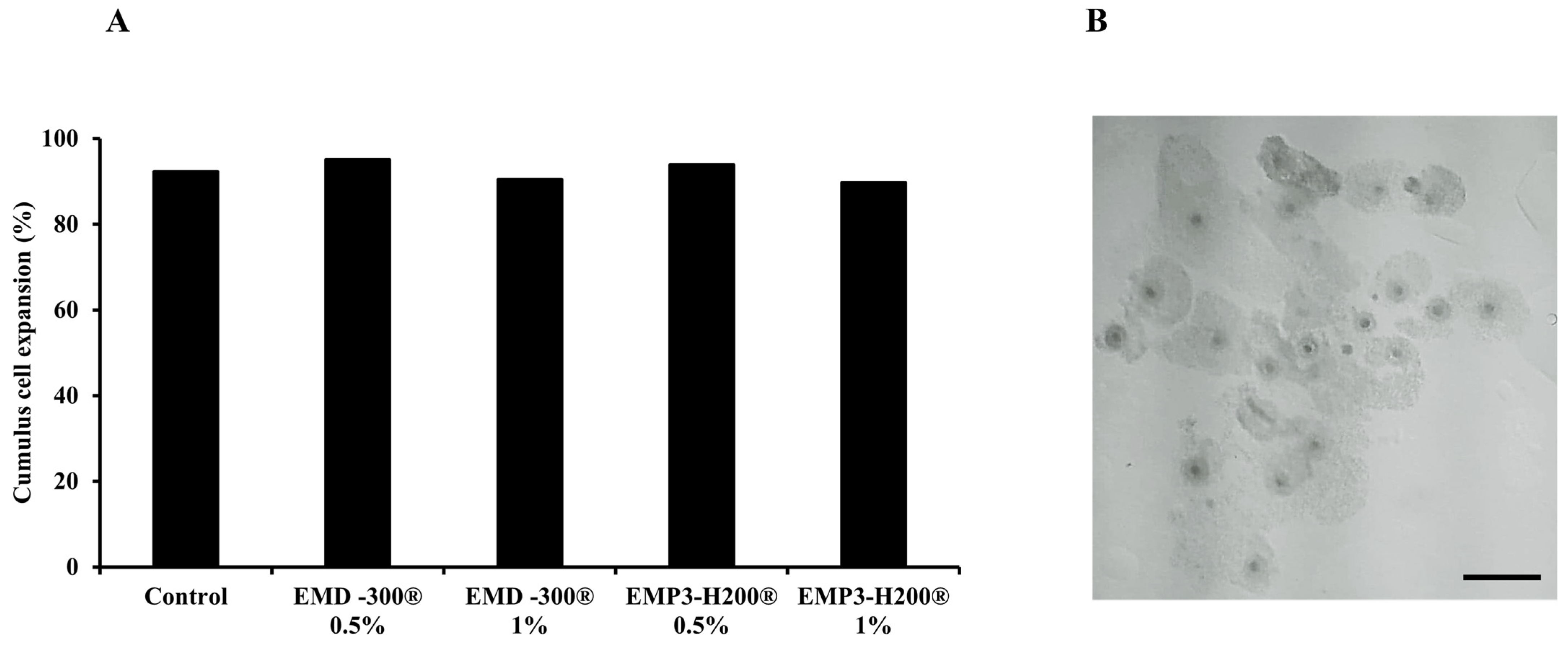 Animals 15 01147 g001