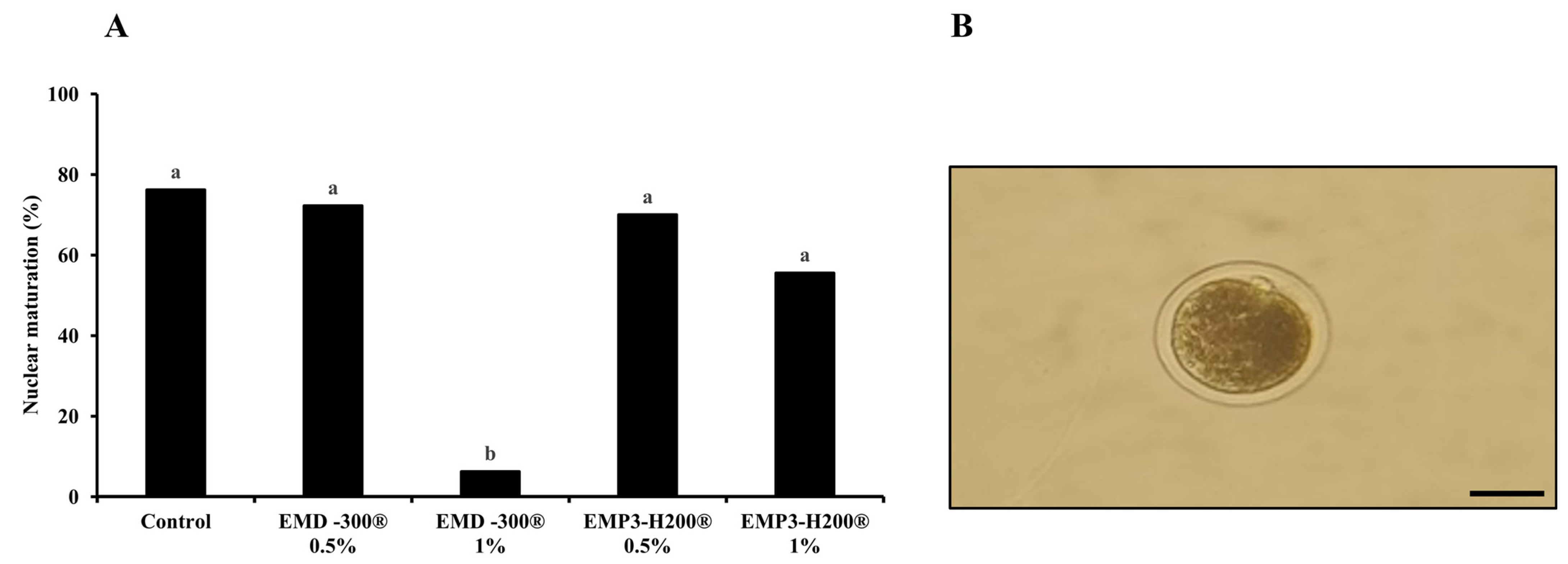 Animals 15 01147 g002