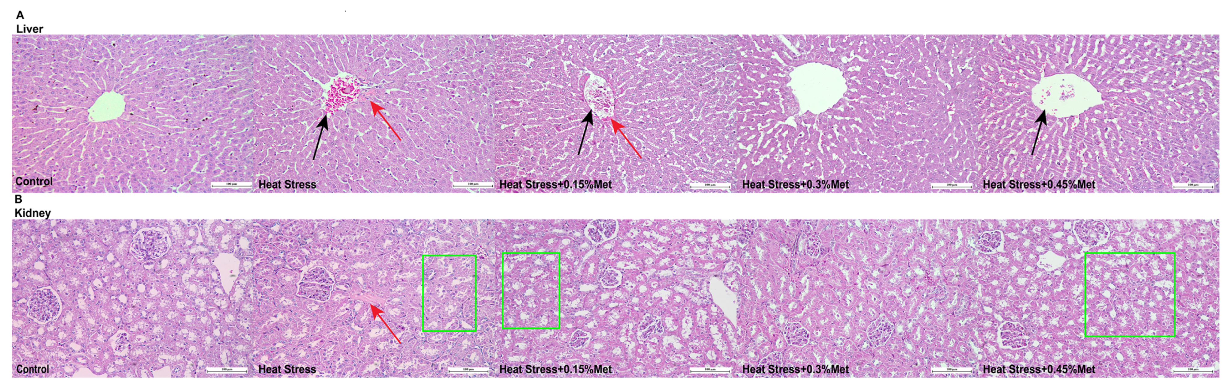 Animals 15 01148 g003