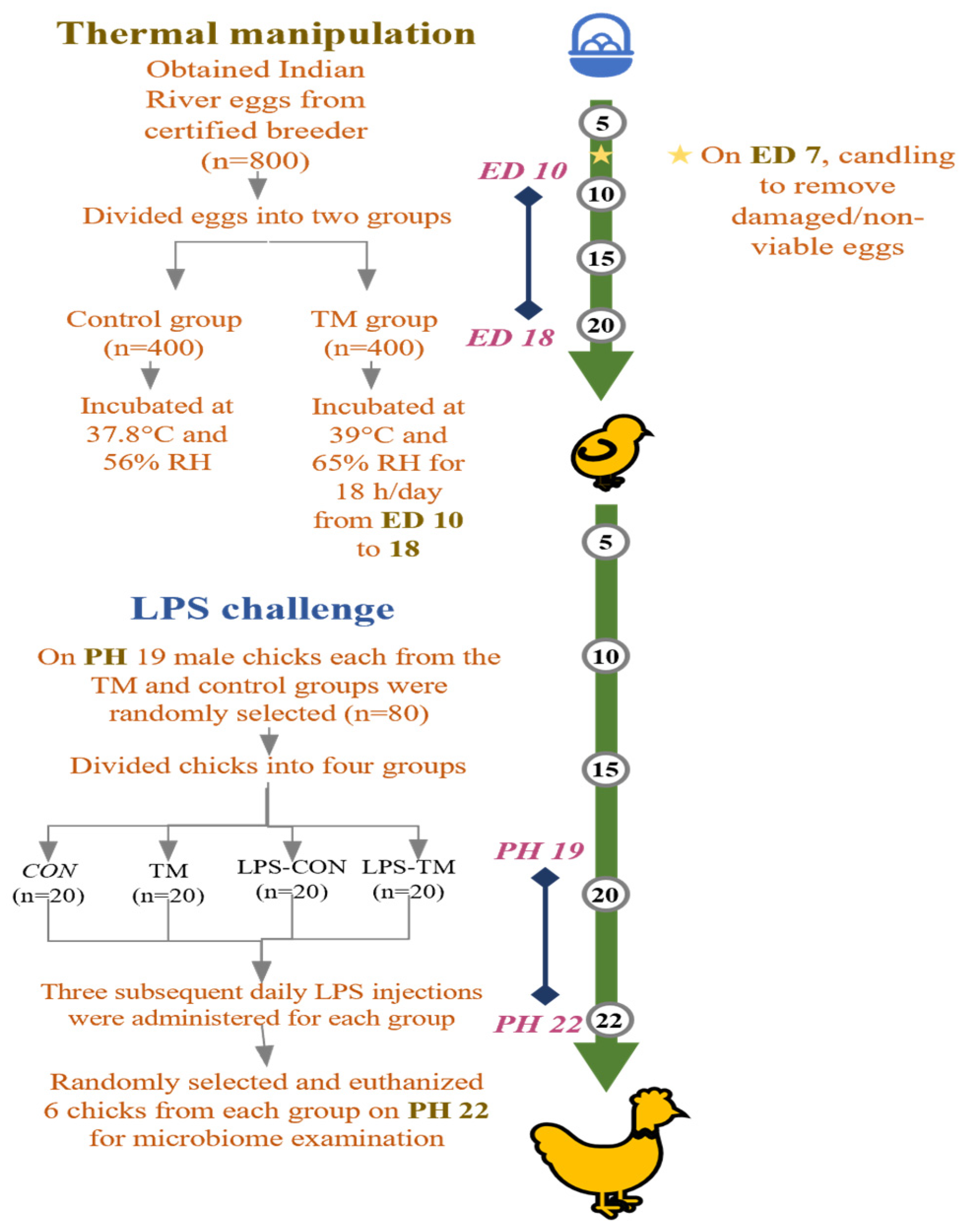 Animals 15 01149 g001