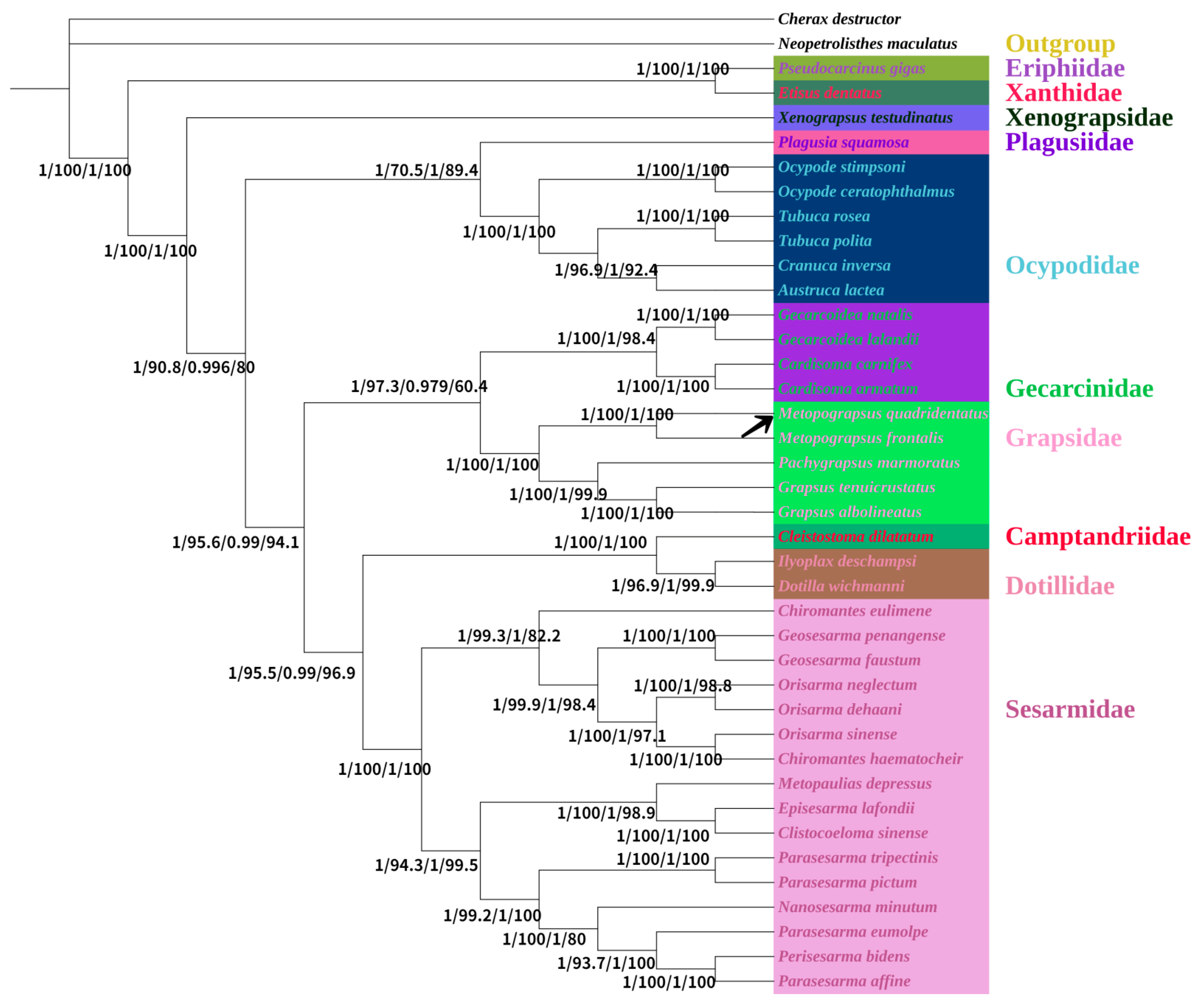 Animals 15 01162 g005