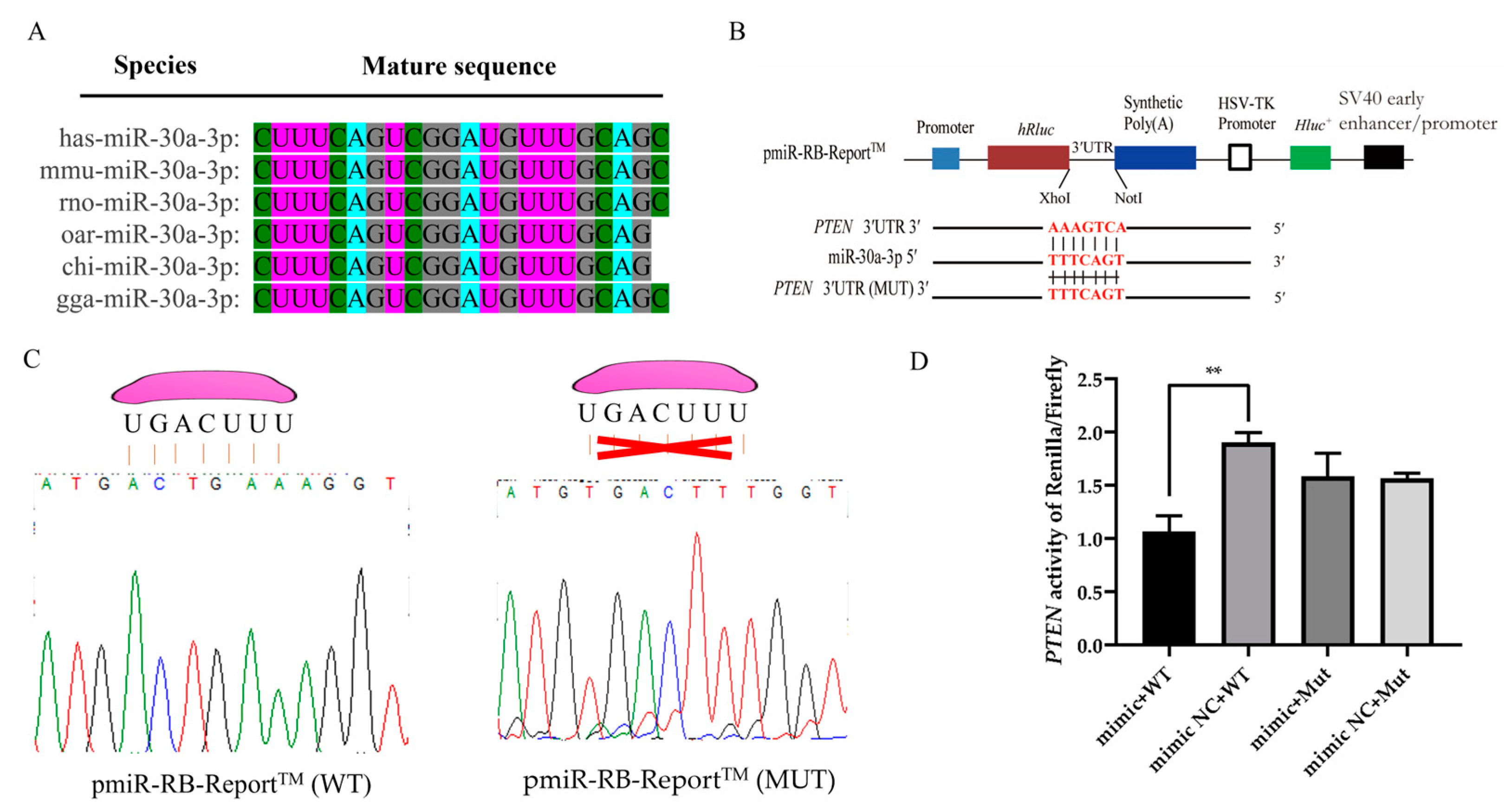 Animals 15 01180 g004