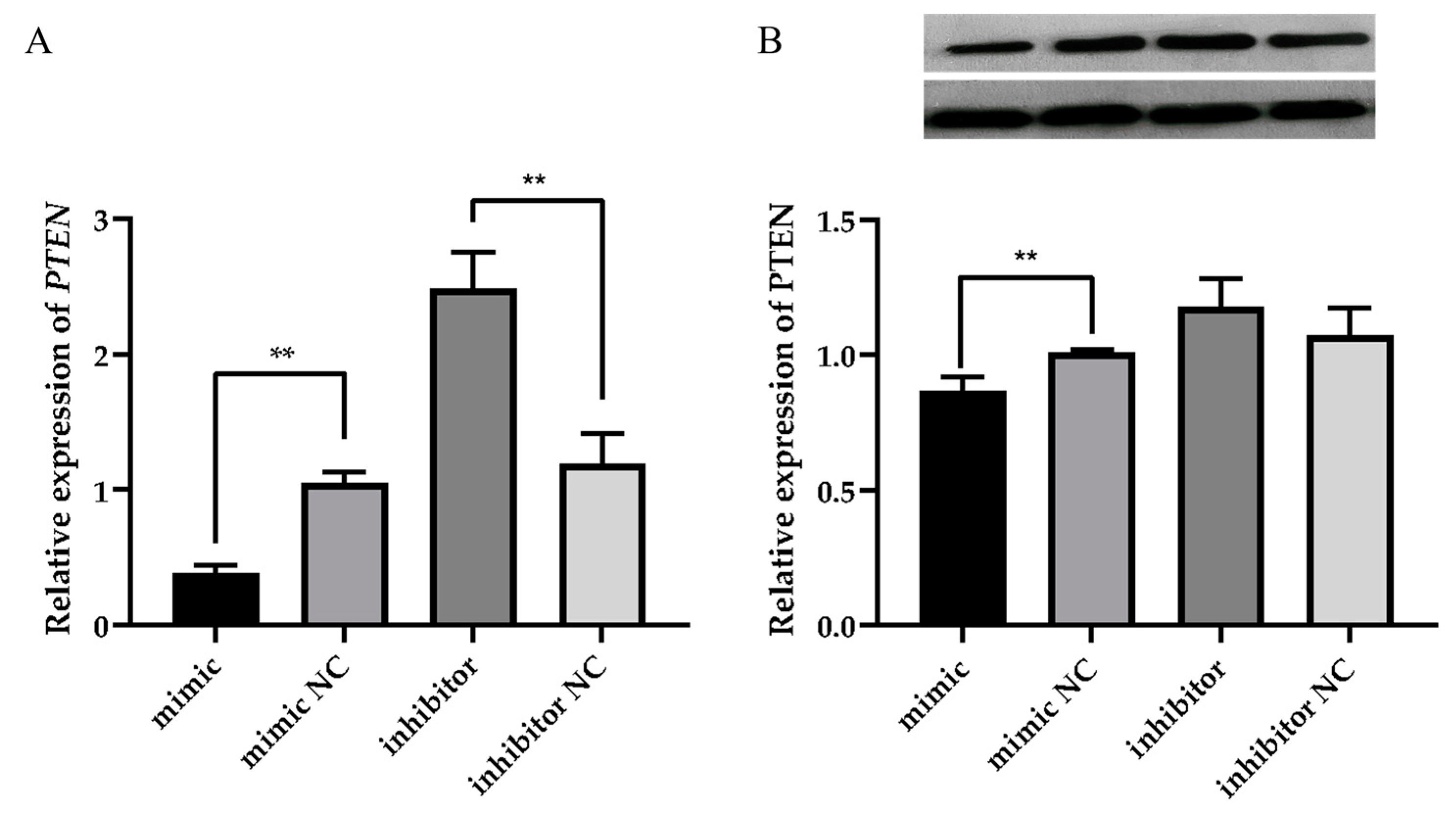 Animals 15 01180 g005