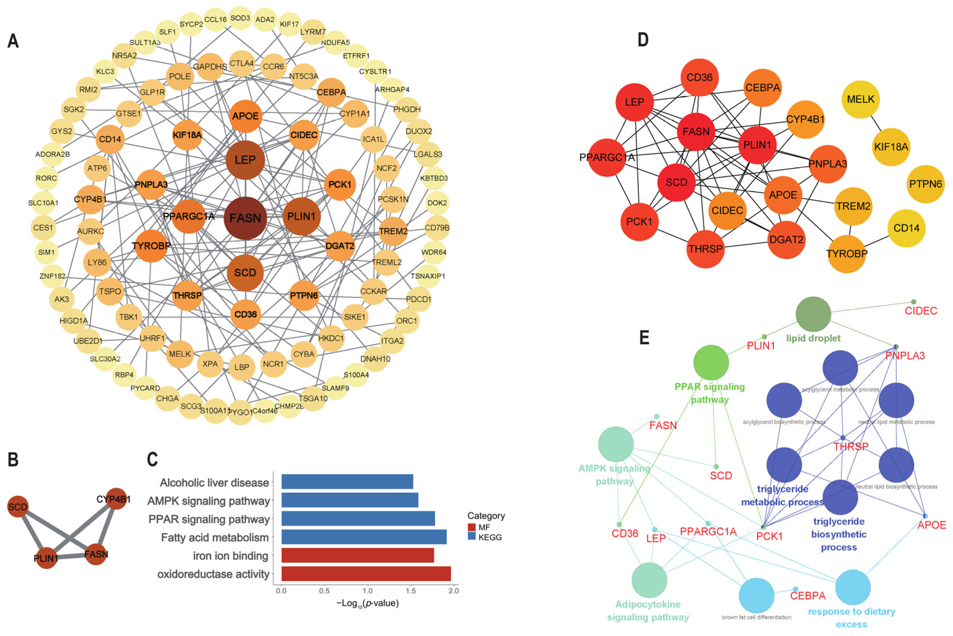 Animals 15 01181 g003