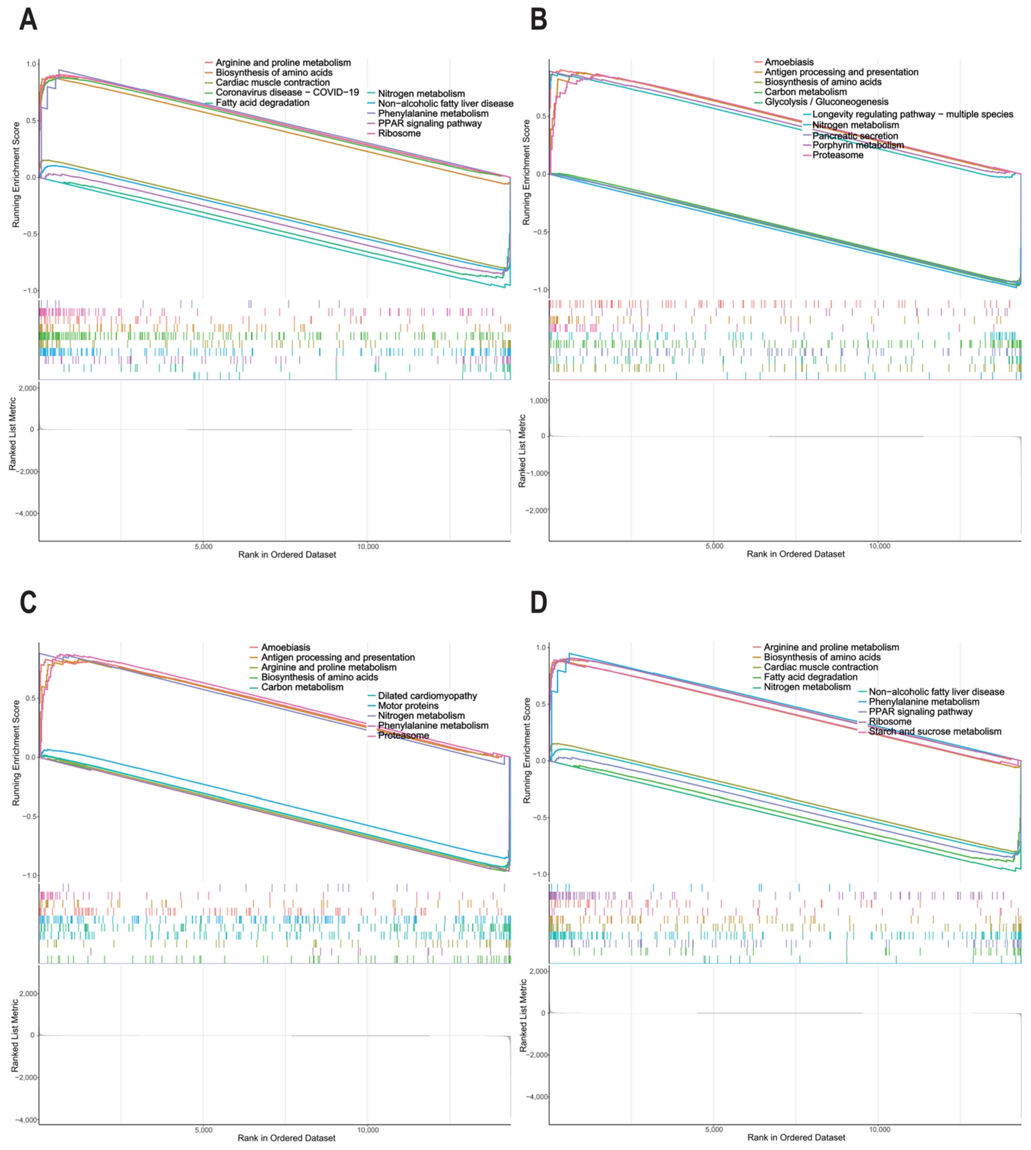 Animals 15 01181 g005