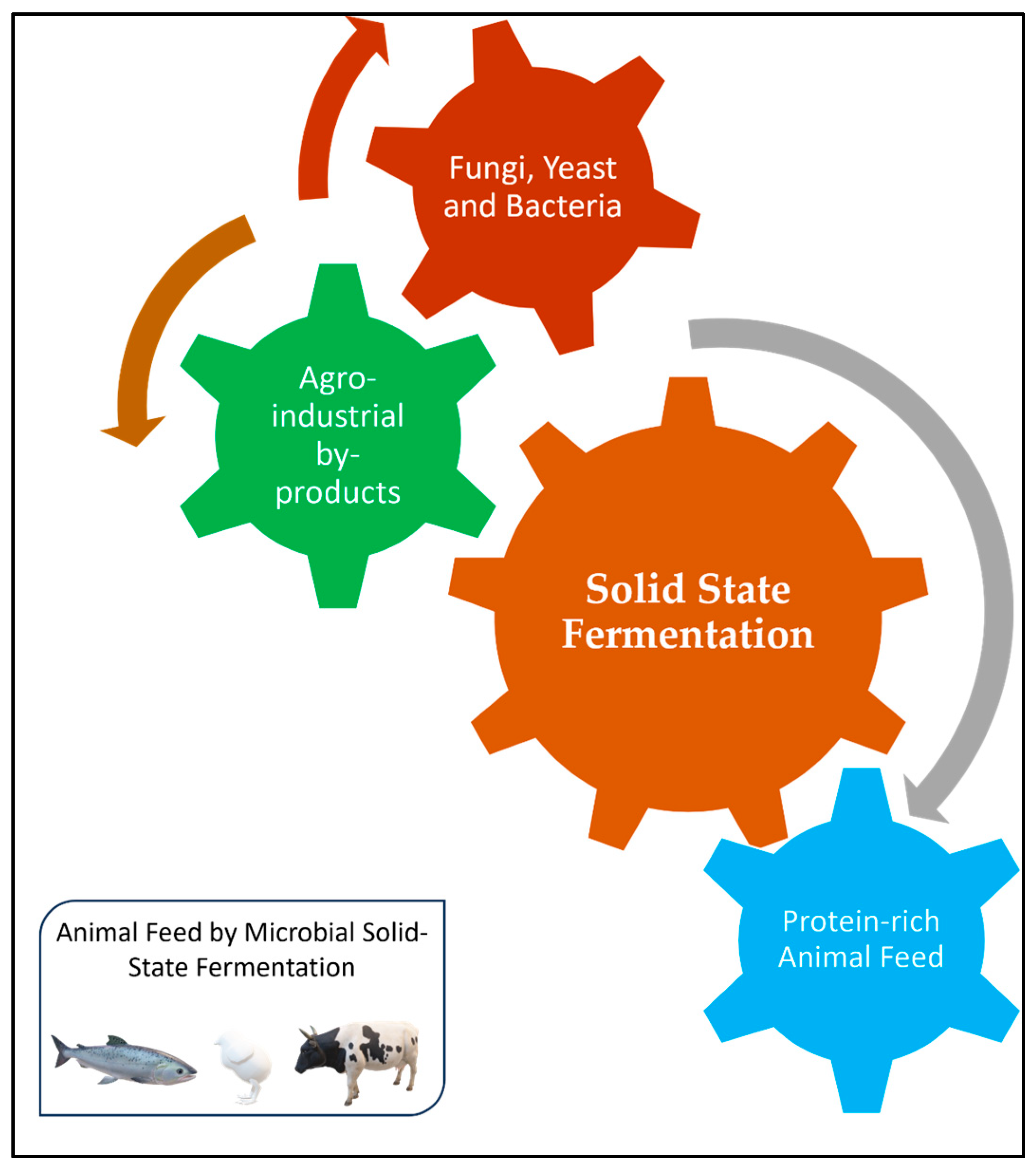 Animals 15 01184 g001