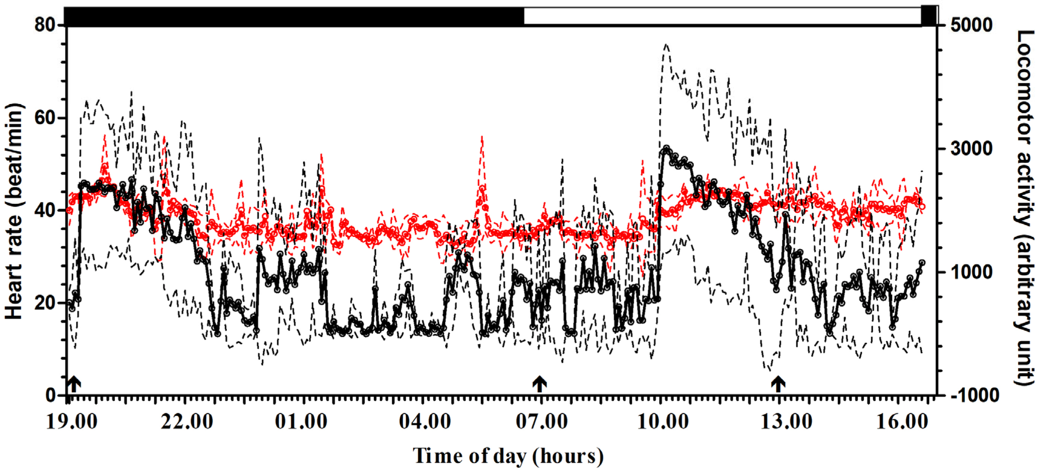 Animals 15 01189 g001