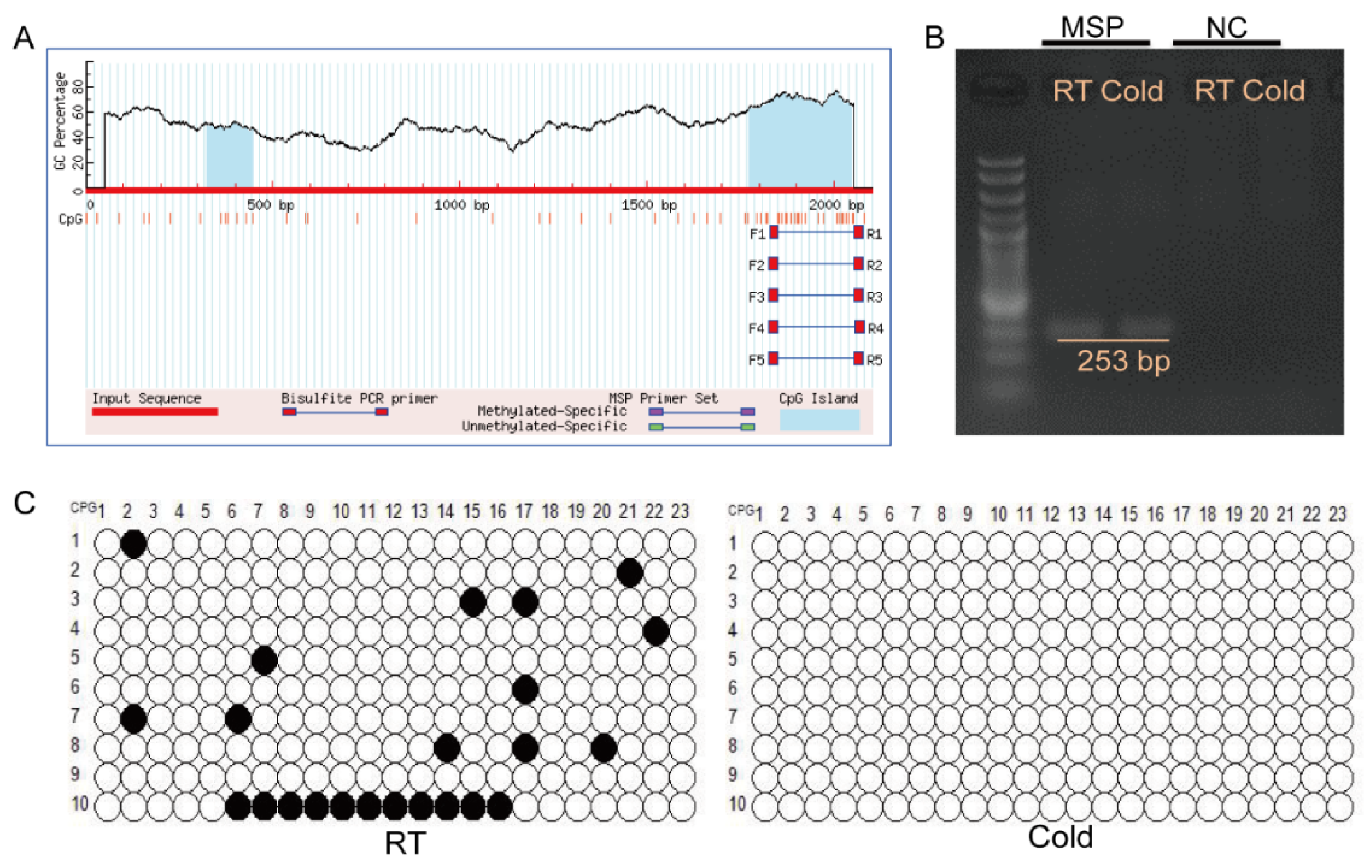 Animals 15 01190 g005