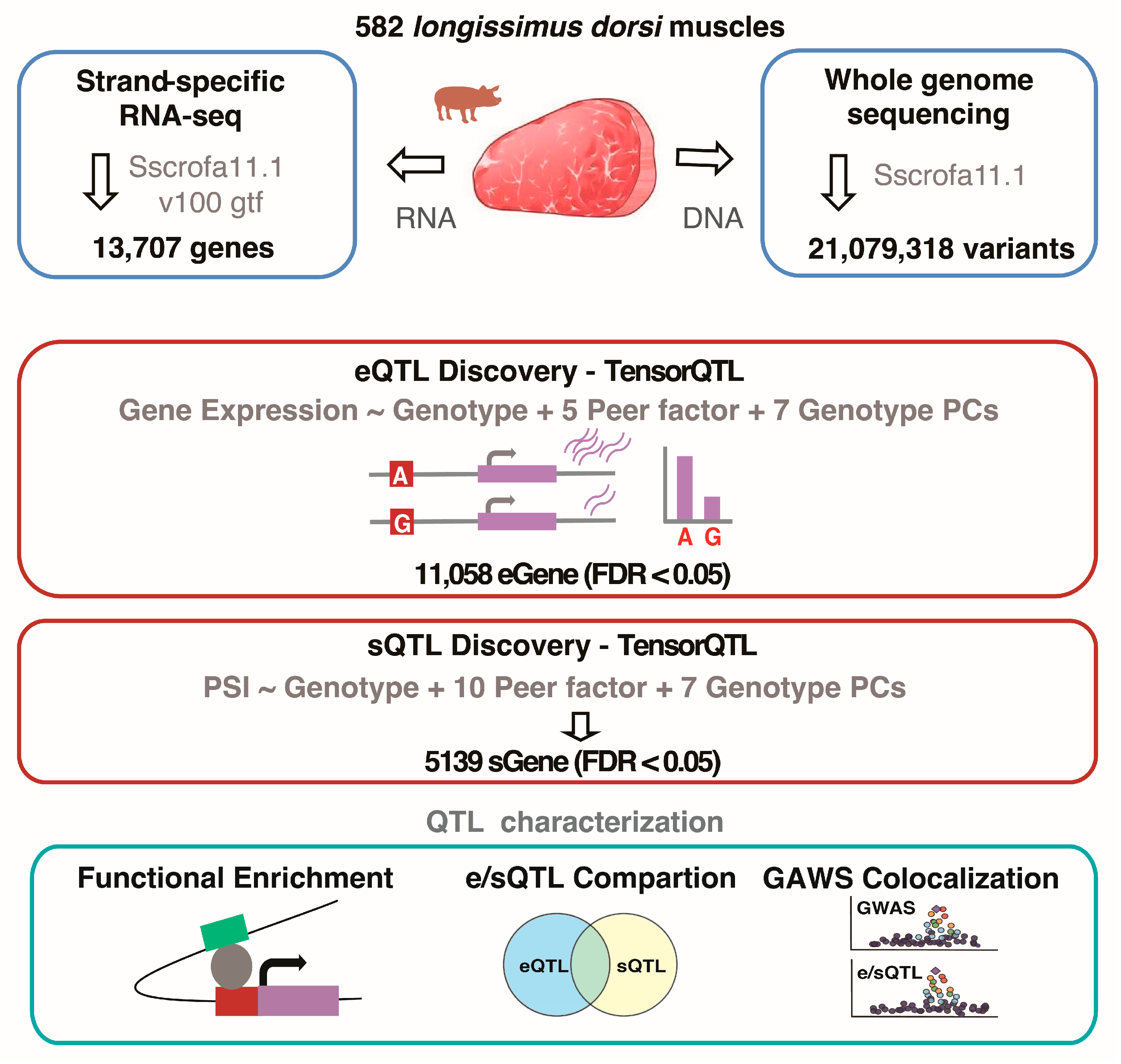 Animals 15 01209 g001