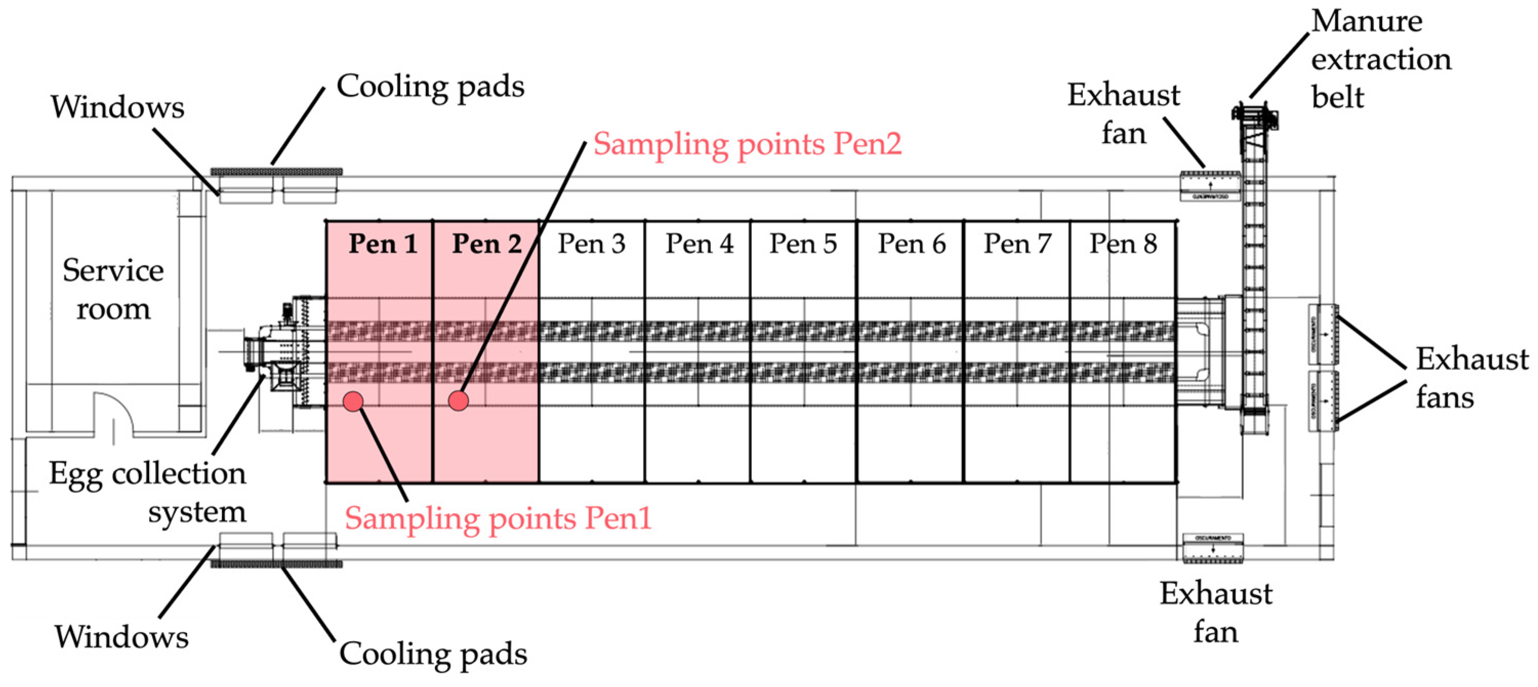 Animals 15 01225 g001