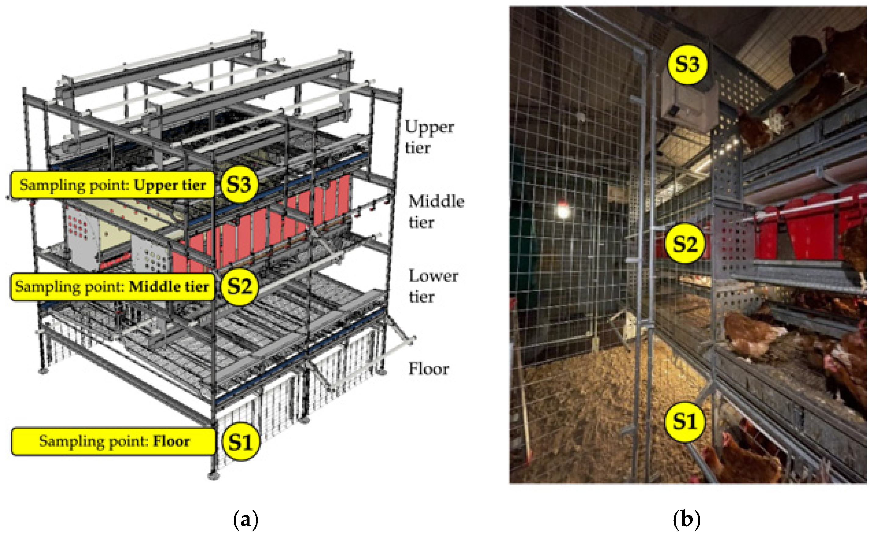 Animals 15 01225 g002