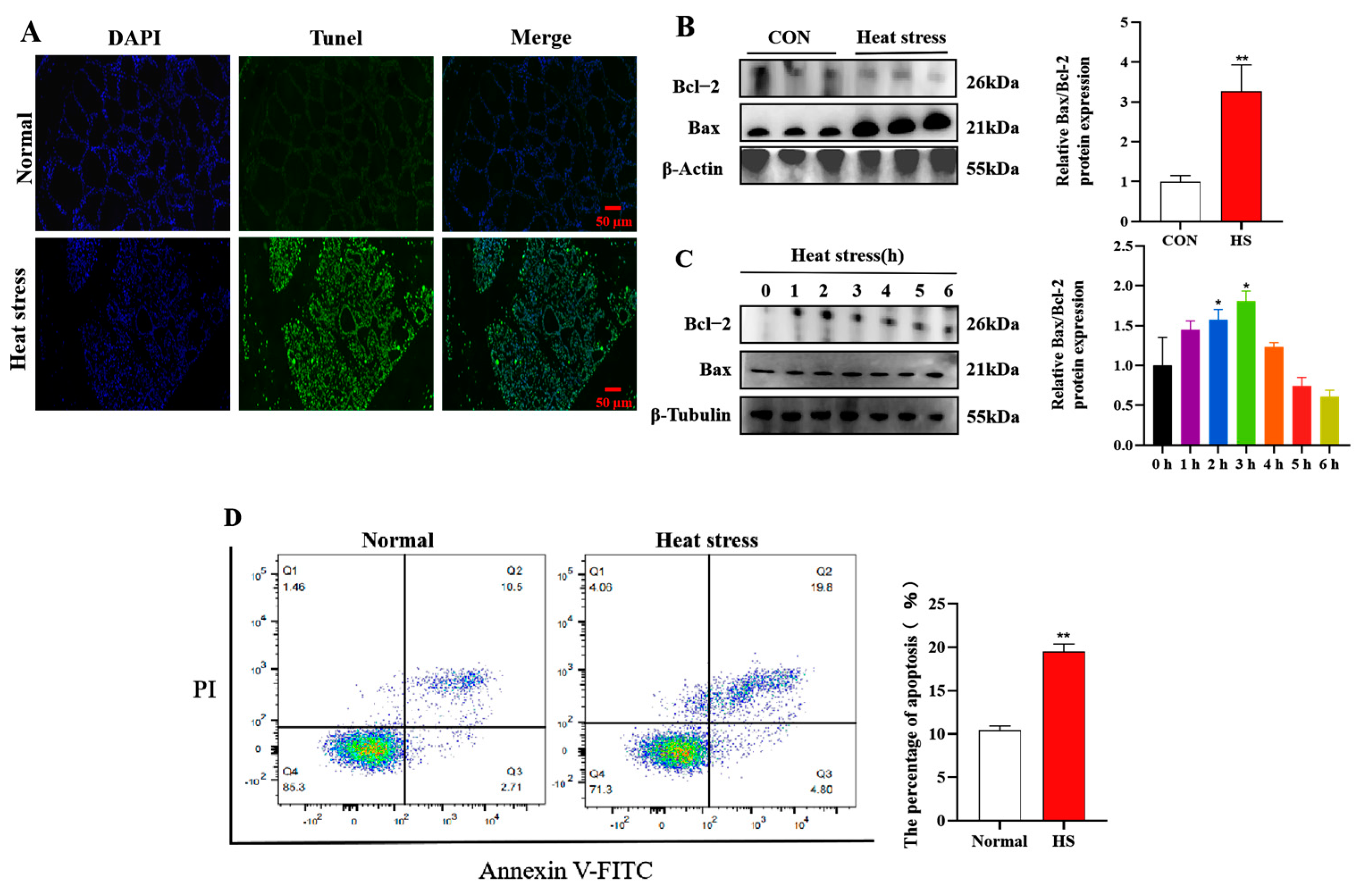 Animals 15 01233 g002