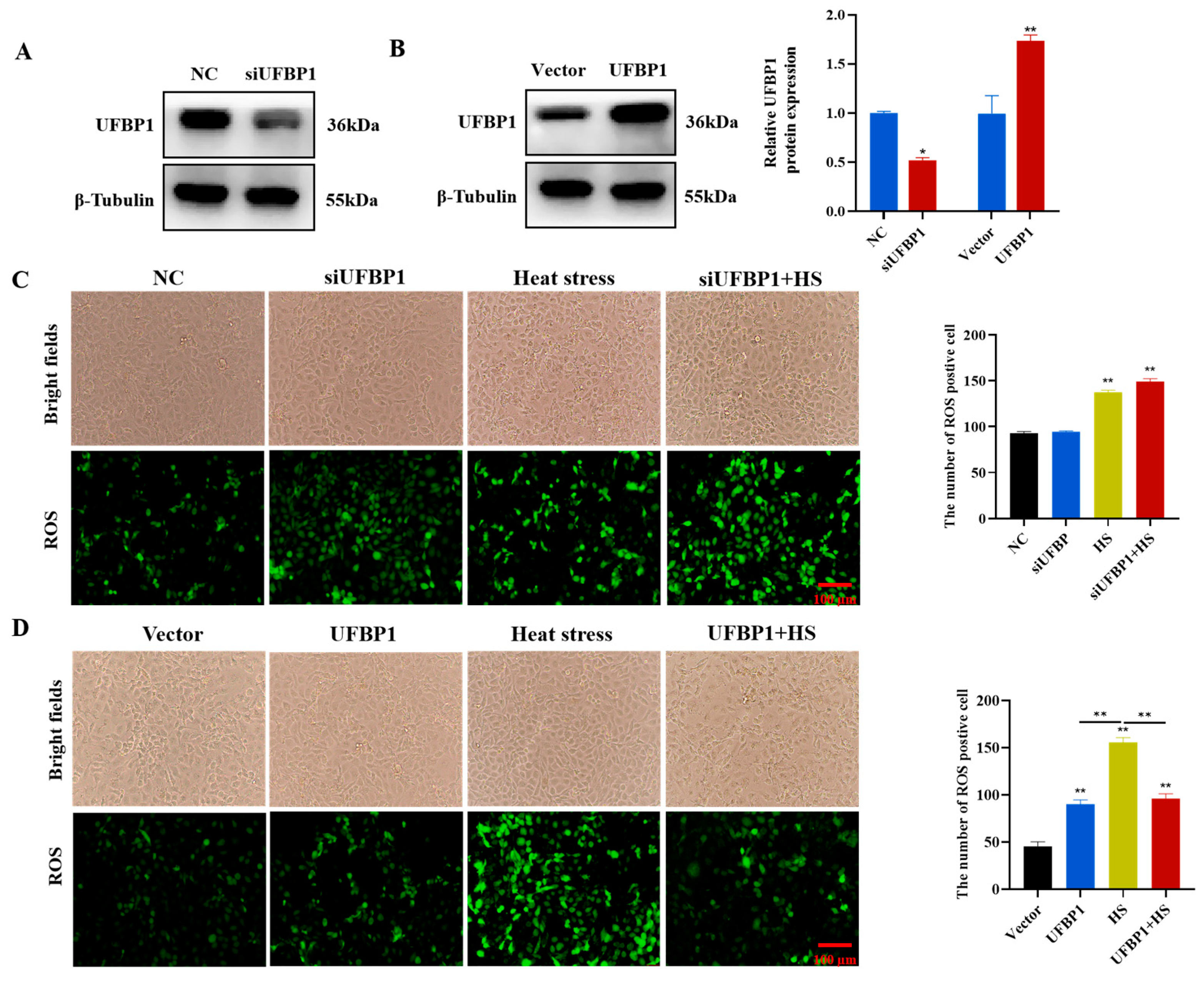 Animals 15 01233 g004