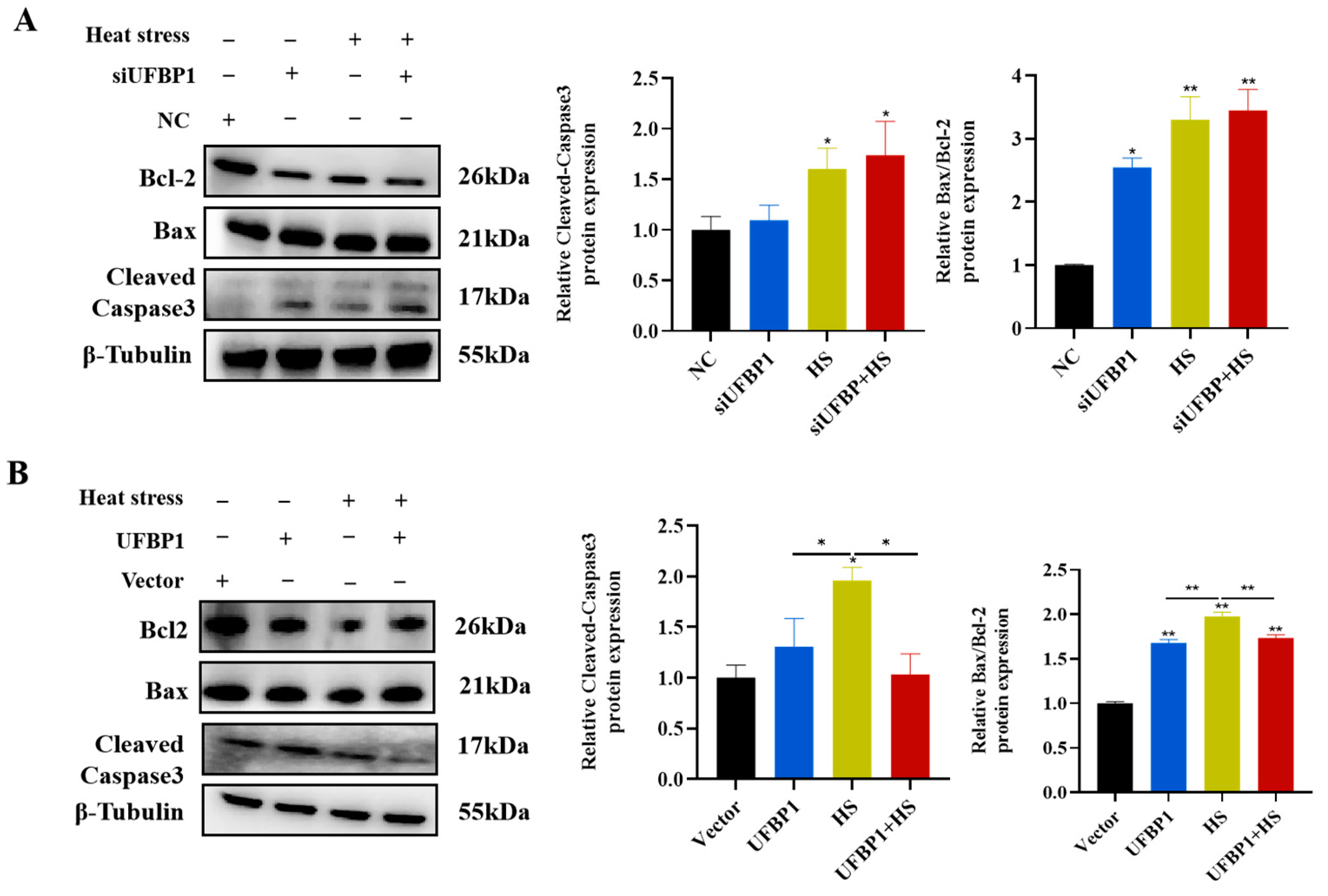 Animals 15 01233 g006