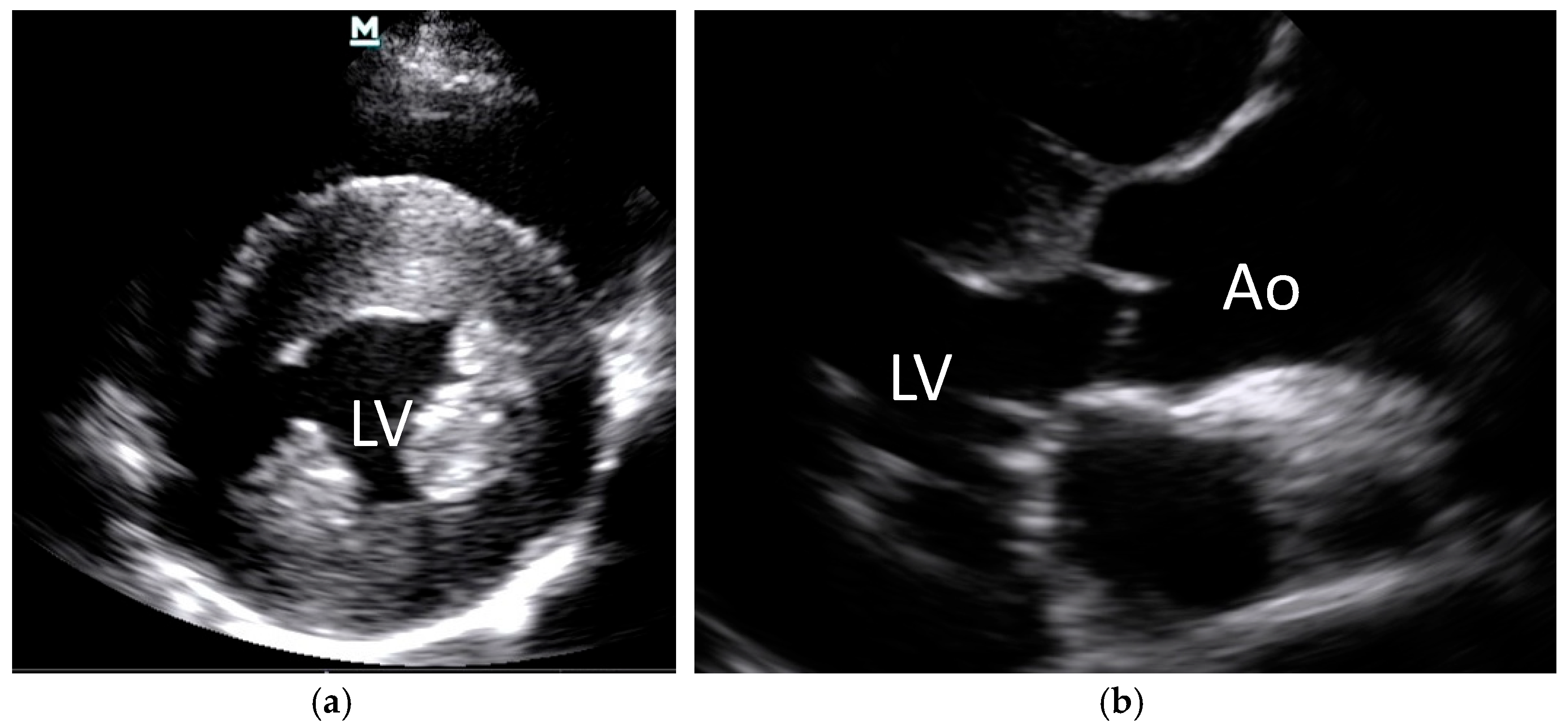 Animals 15 01940 g003