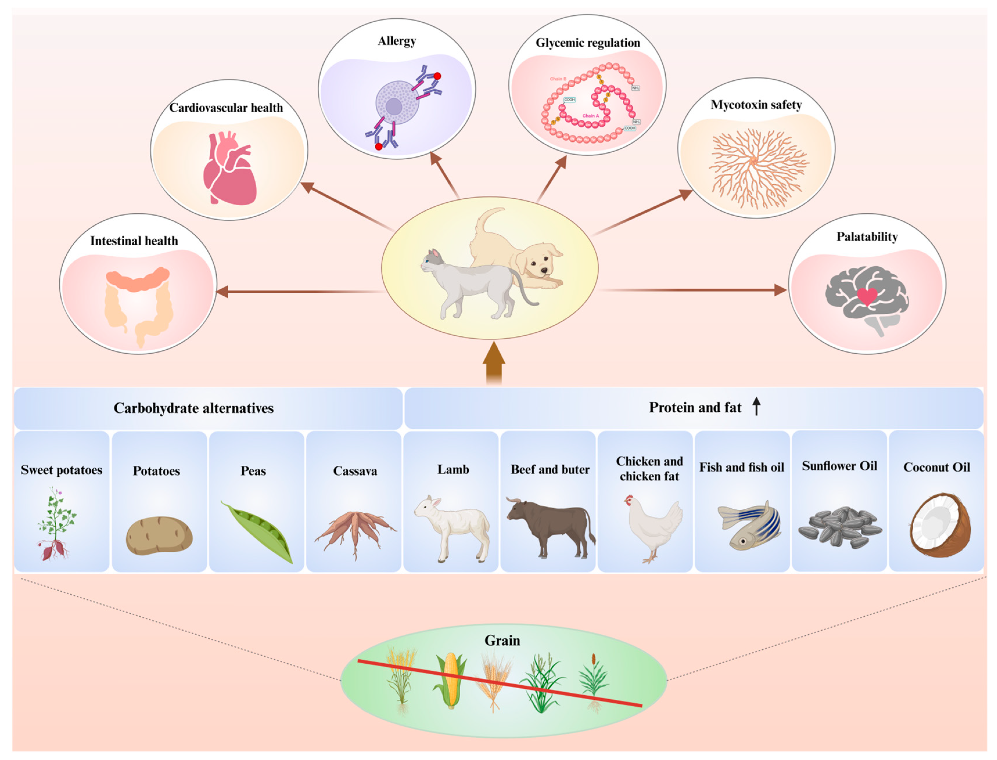 Animals 15 02020 g001