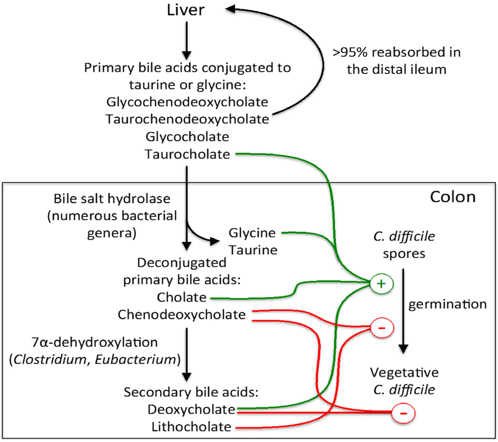 Antibiotics, Free Full-Text