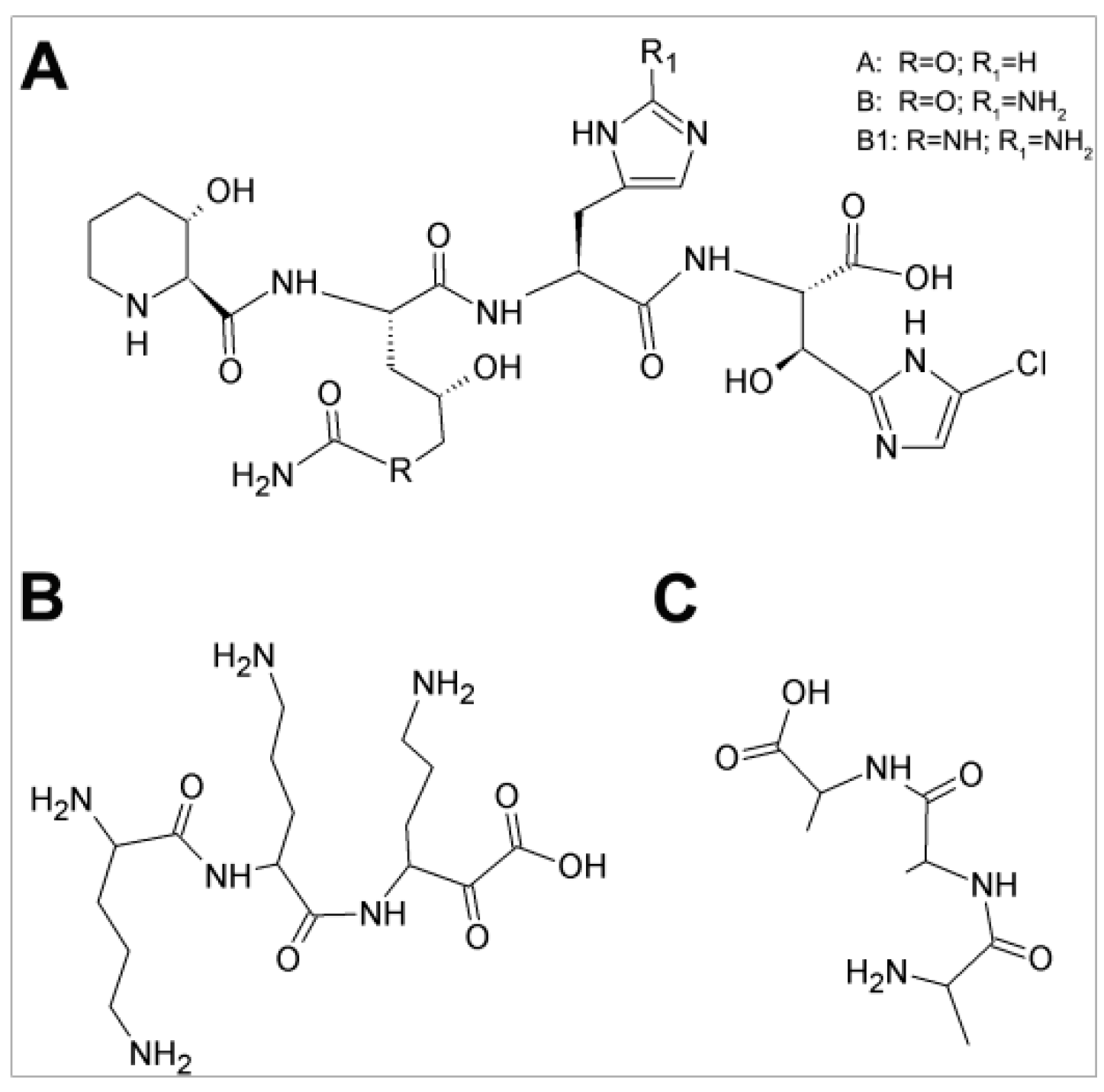 C-Four Ic Acid g-rap www.sanagustin.ac.id