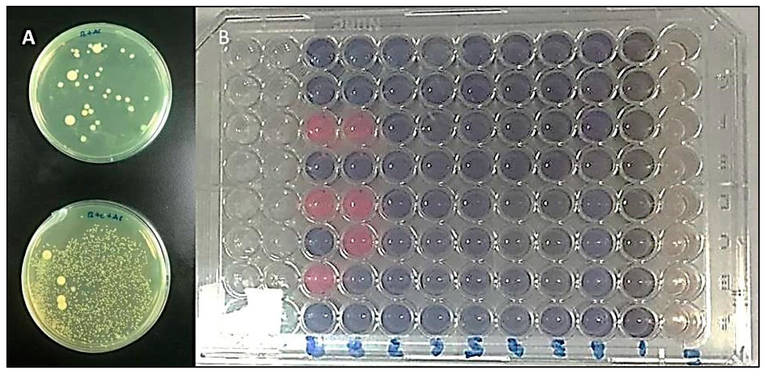 Antibiotics | Free Full-Text | Evaluation and Comparison of