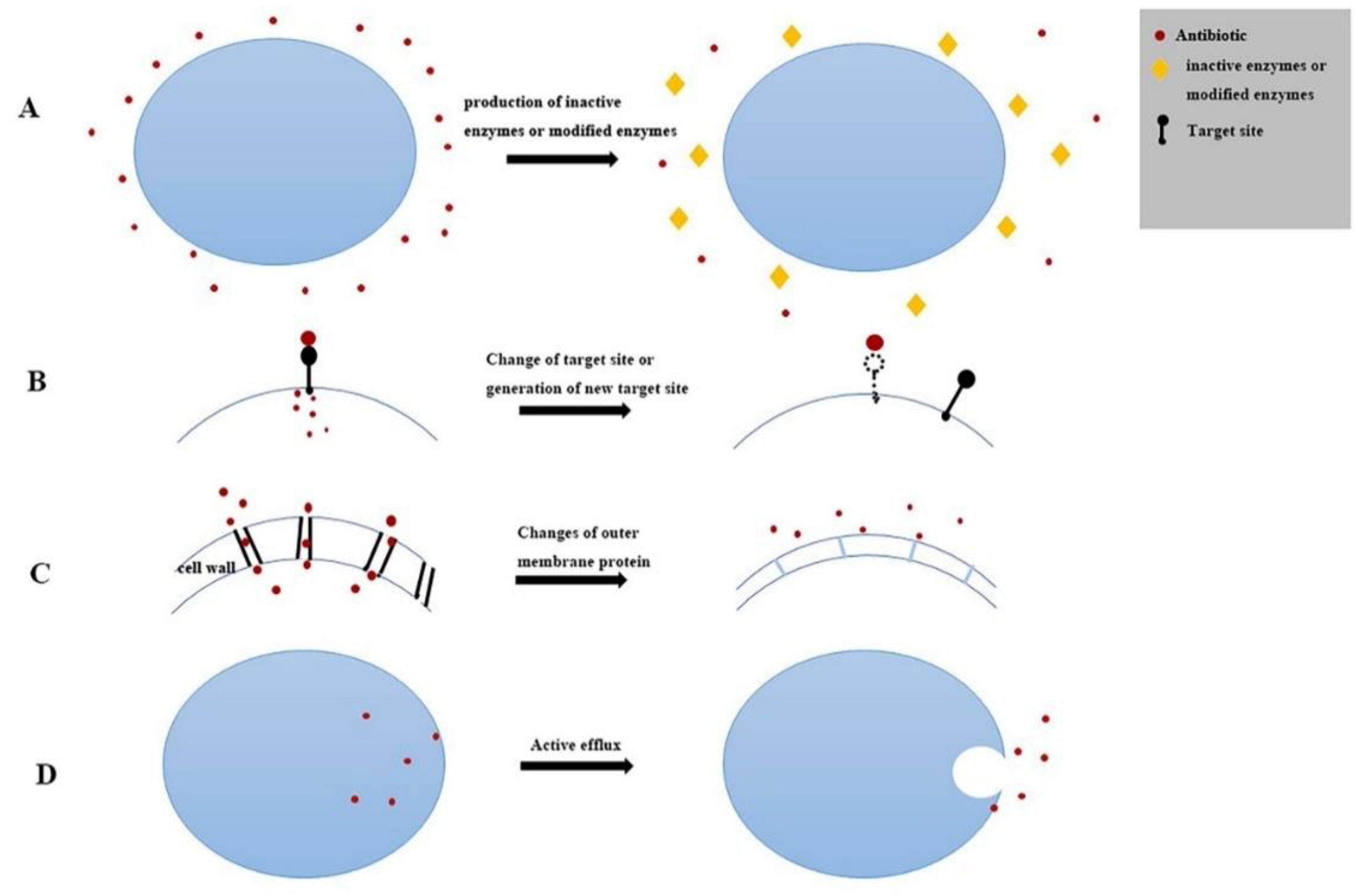 Antibiotics 08 00151 g007