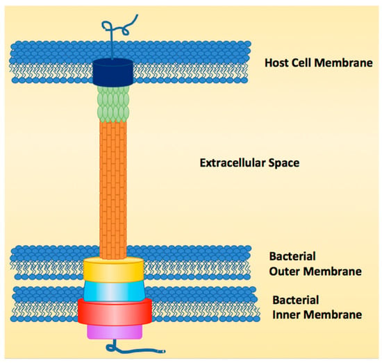 Antibiotics Free Full Text Natural Product Type Iii Secretion System Inhibitors 