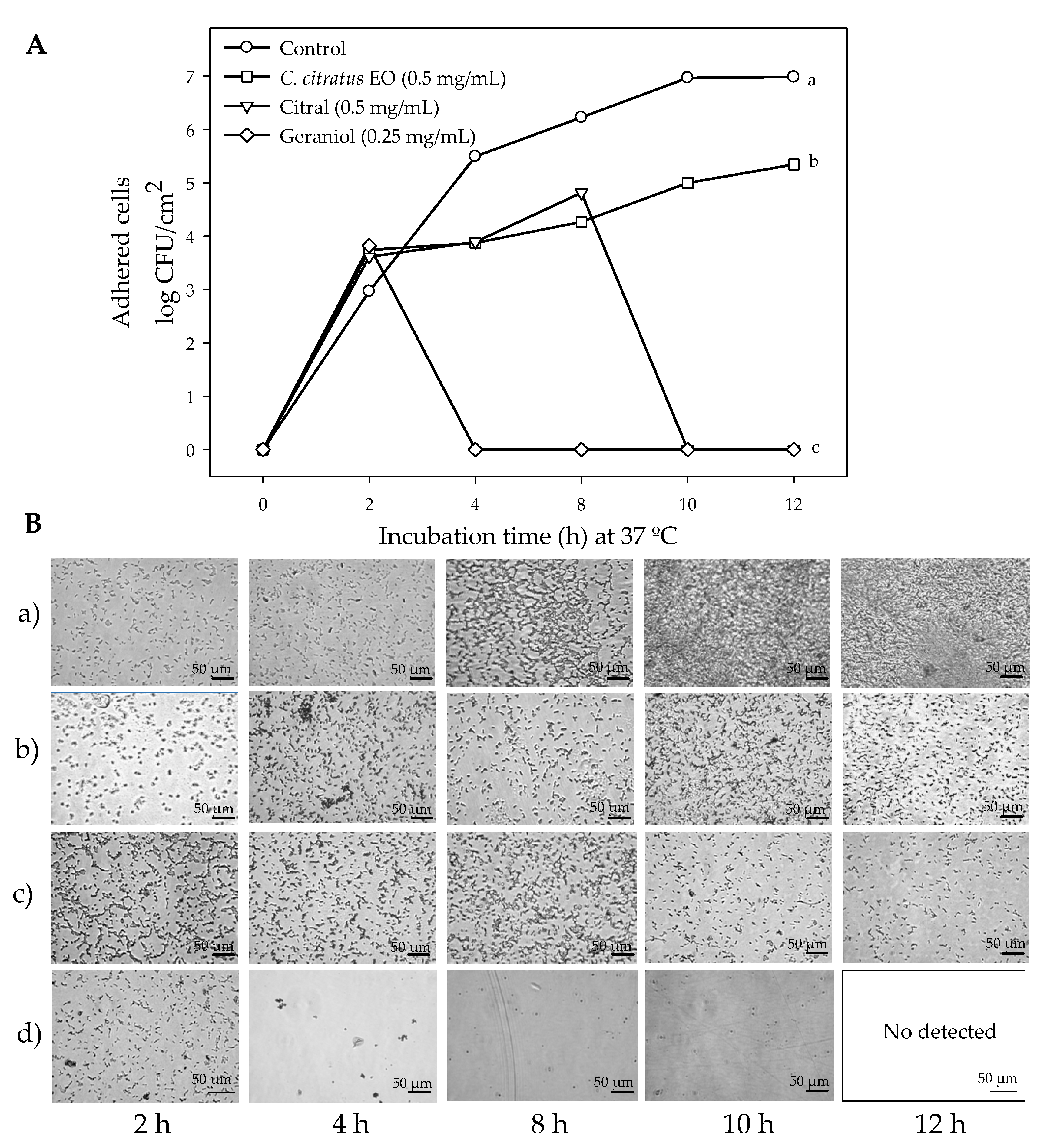 Antibiotics 09 00102 g002