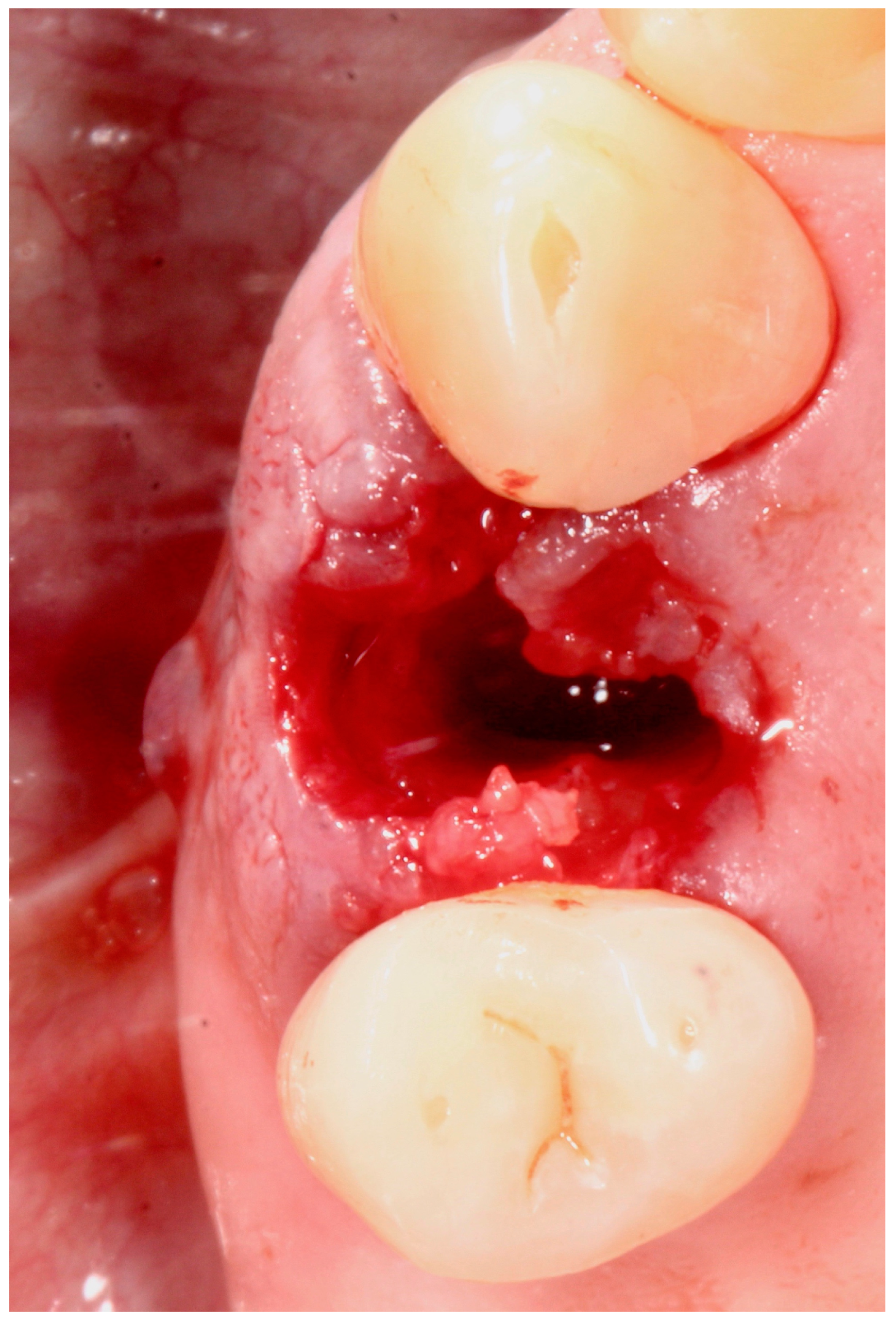 Antibiotics 09 00110 g002 Antibiotics 09 00110 g002