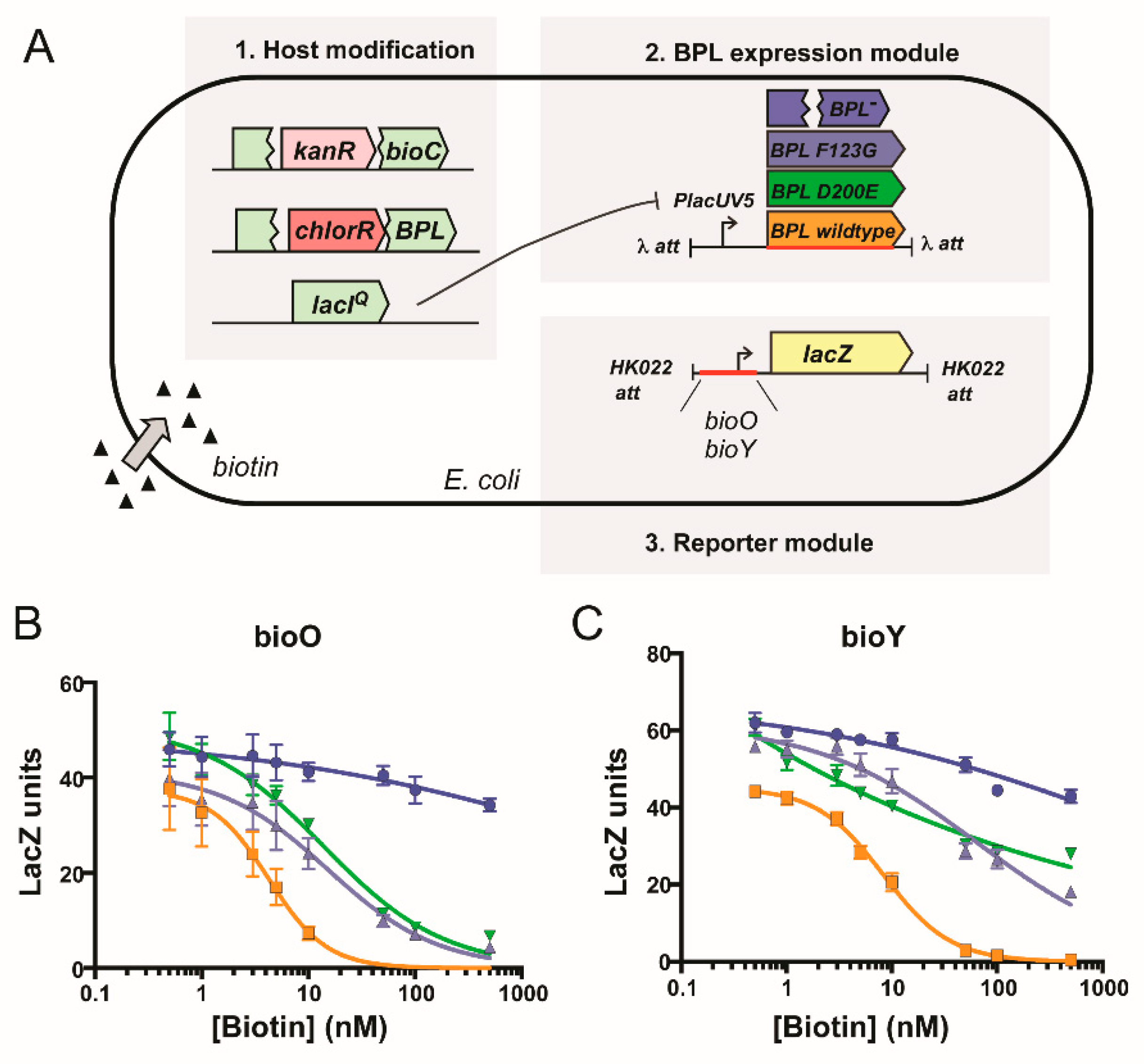 Antibiotics 09 00165 g005