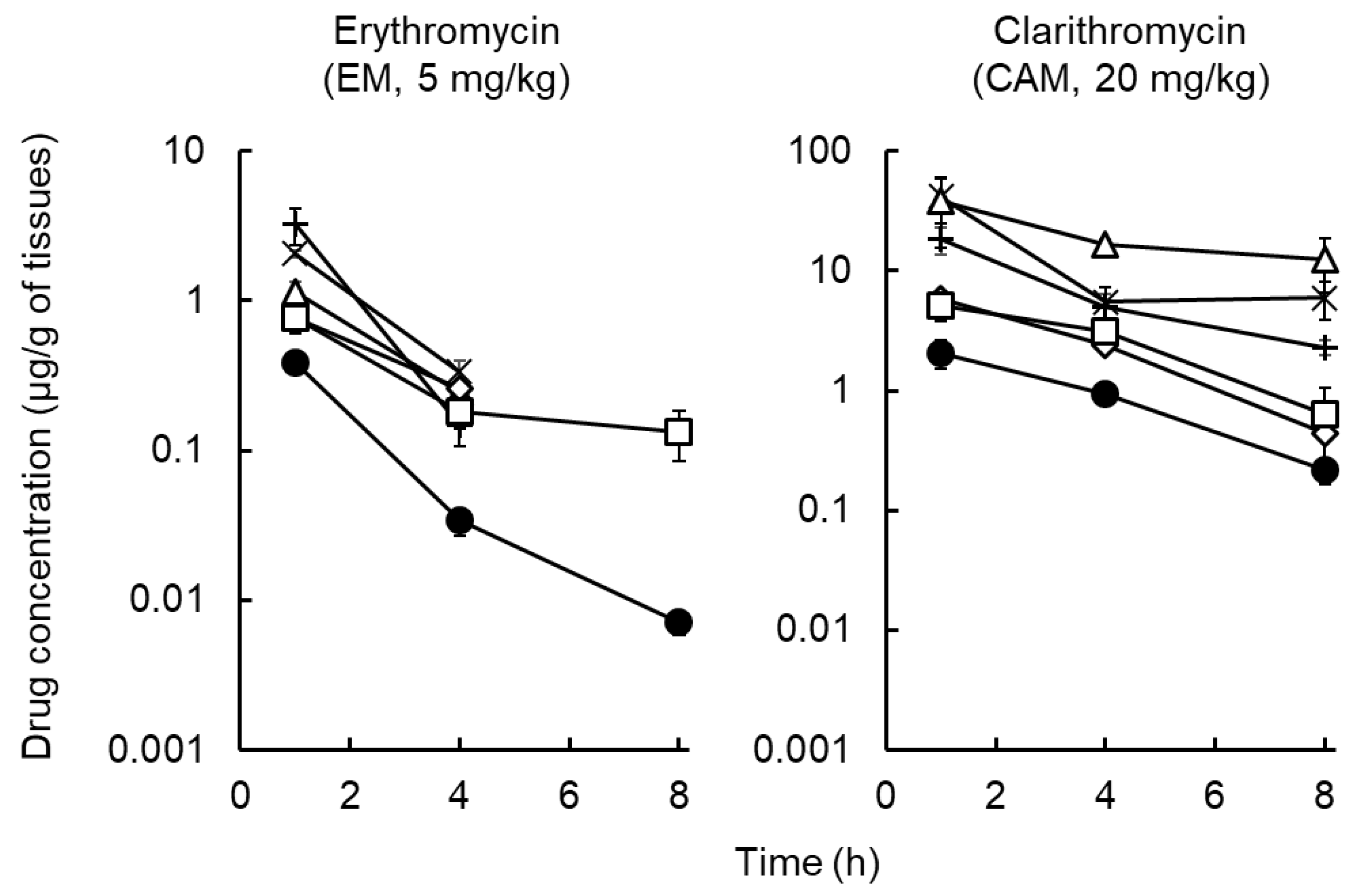 Erythromycin 300 mg