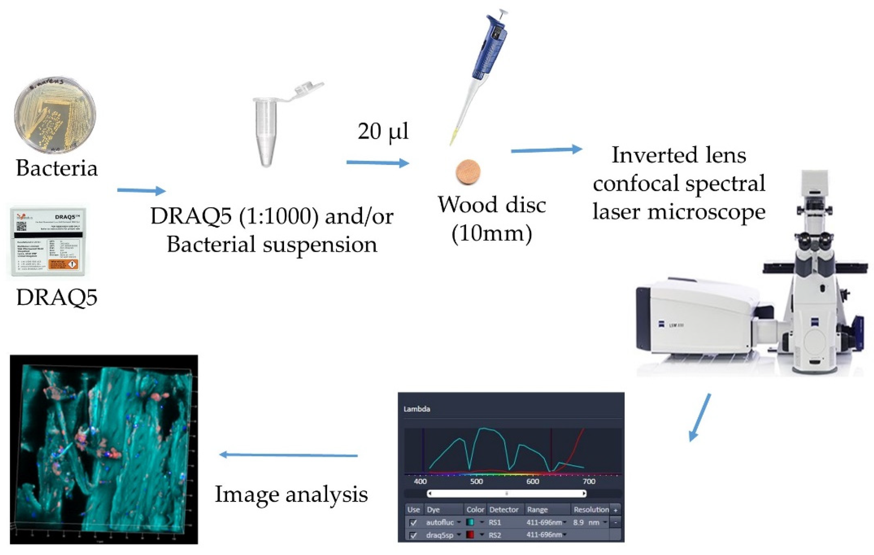 Antibiotics 09 00225 g006