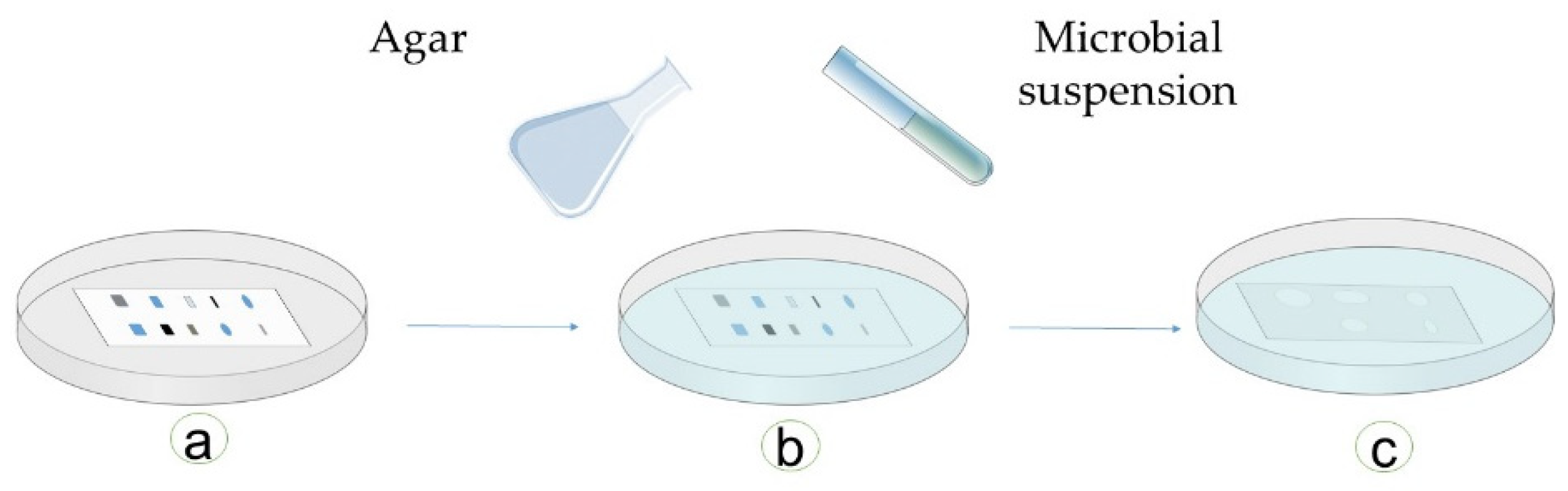 Antibiotics 09 00225 g011