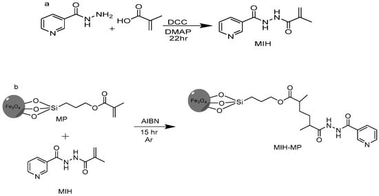 Antibiotics Free Full Text Isoniazid Conjugated Magnetic