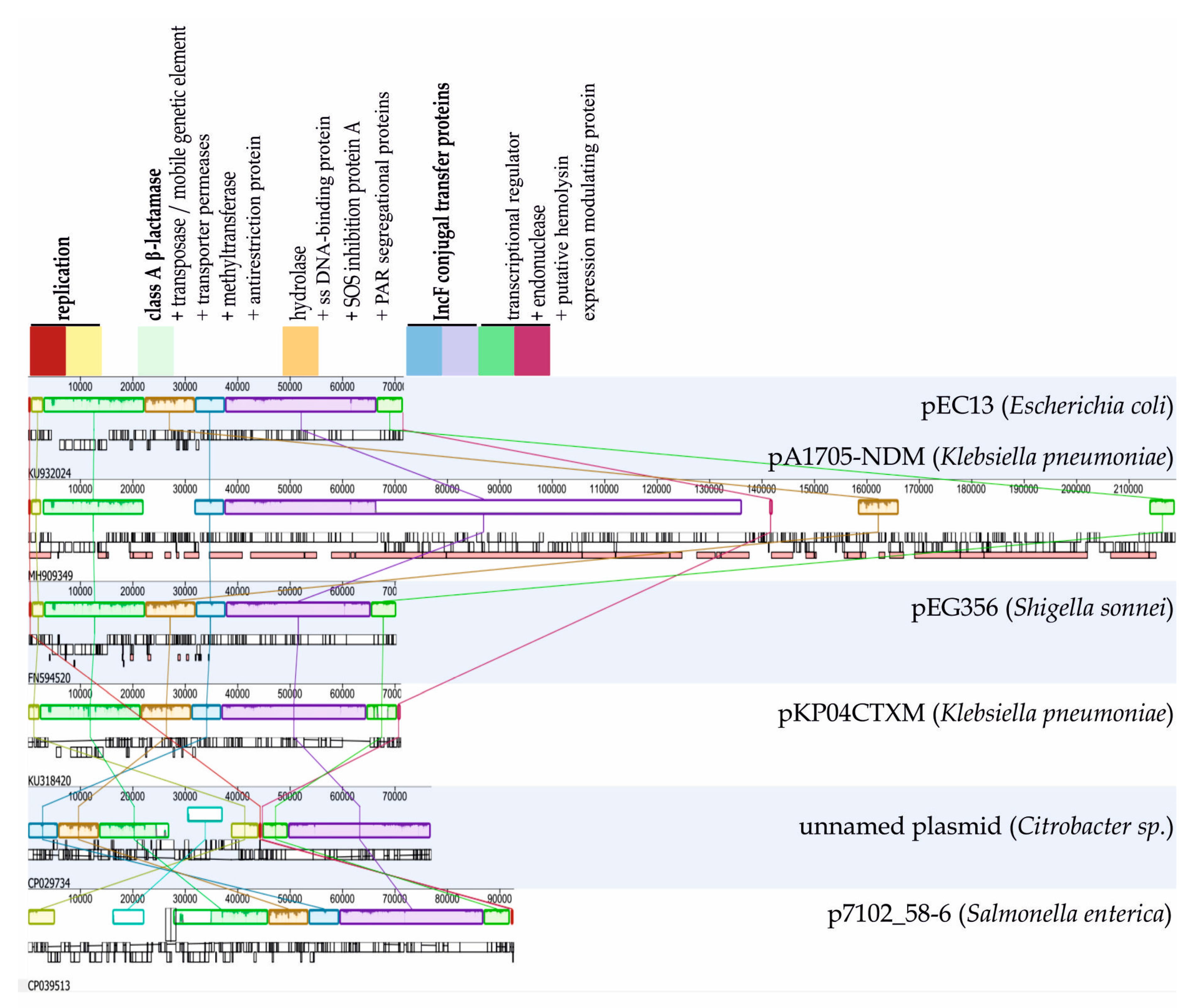 Antibiotics 09 00296 g002