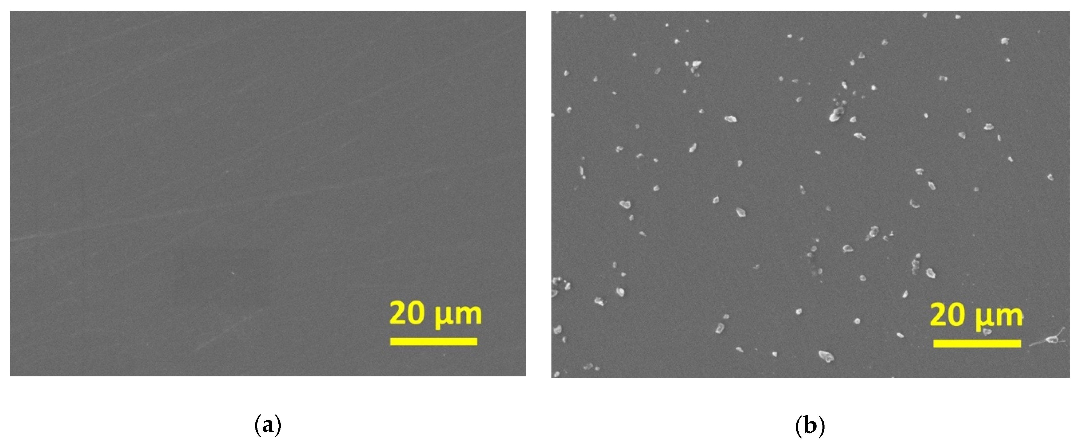 Antibacterial Properties Of Nano-Ag Coating On Healing Abutment: An In ...