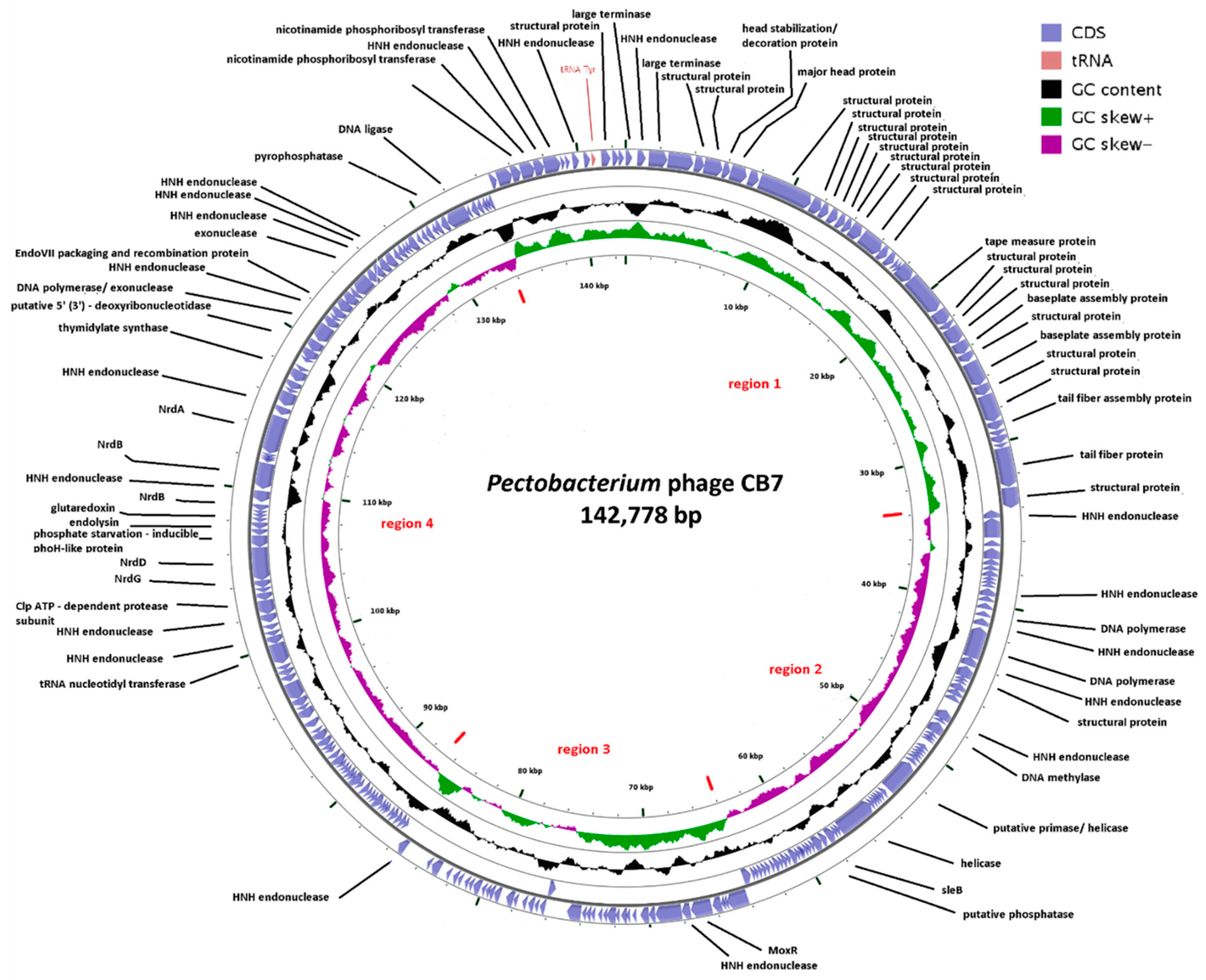 Antibiotics 09 00352 g003