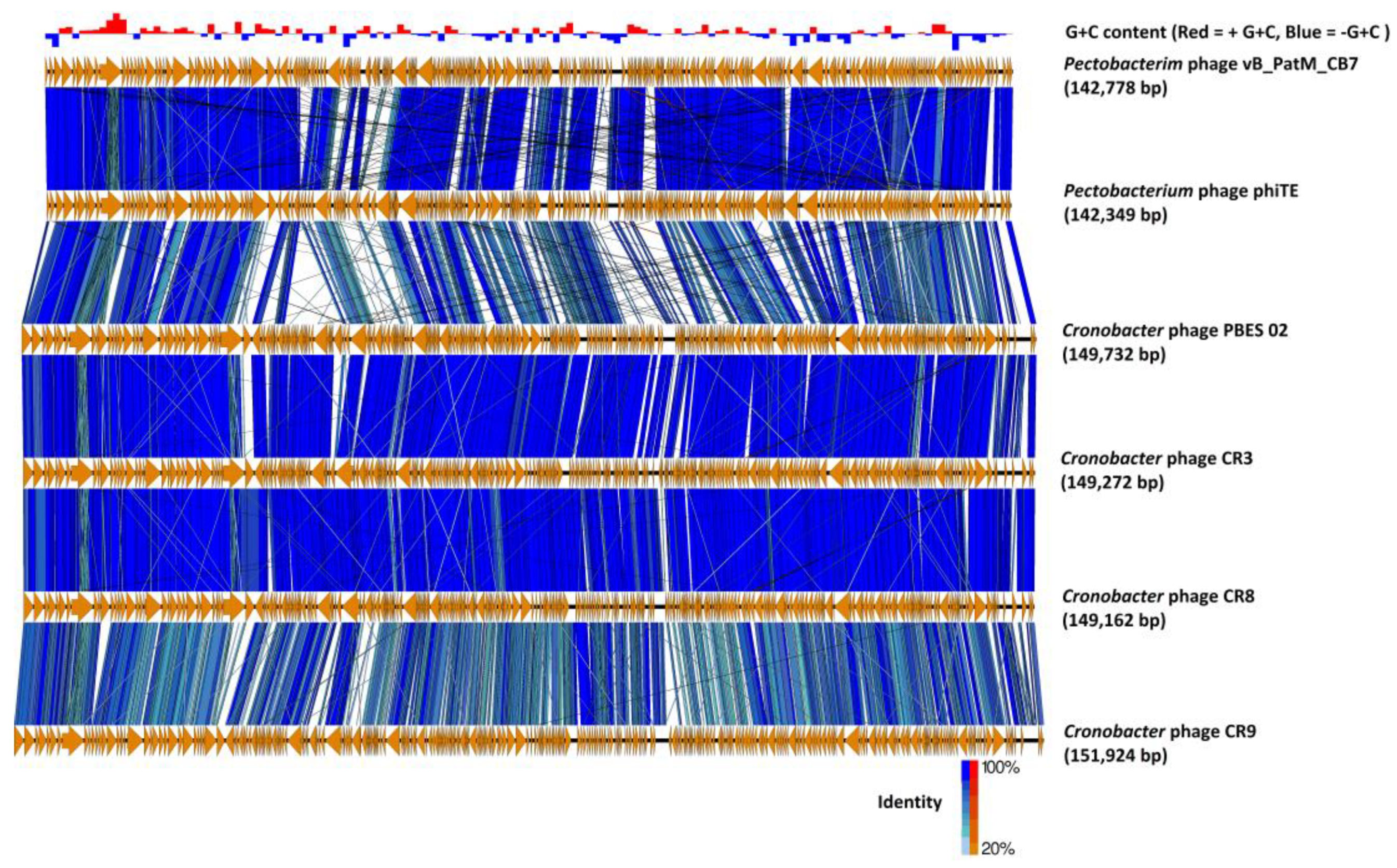 Antibiotics 09 00352 g004