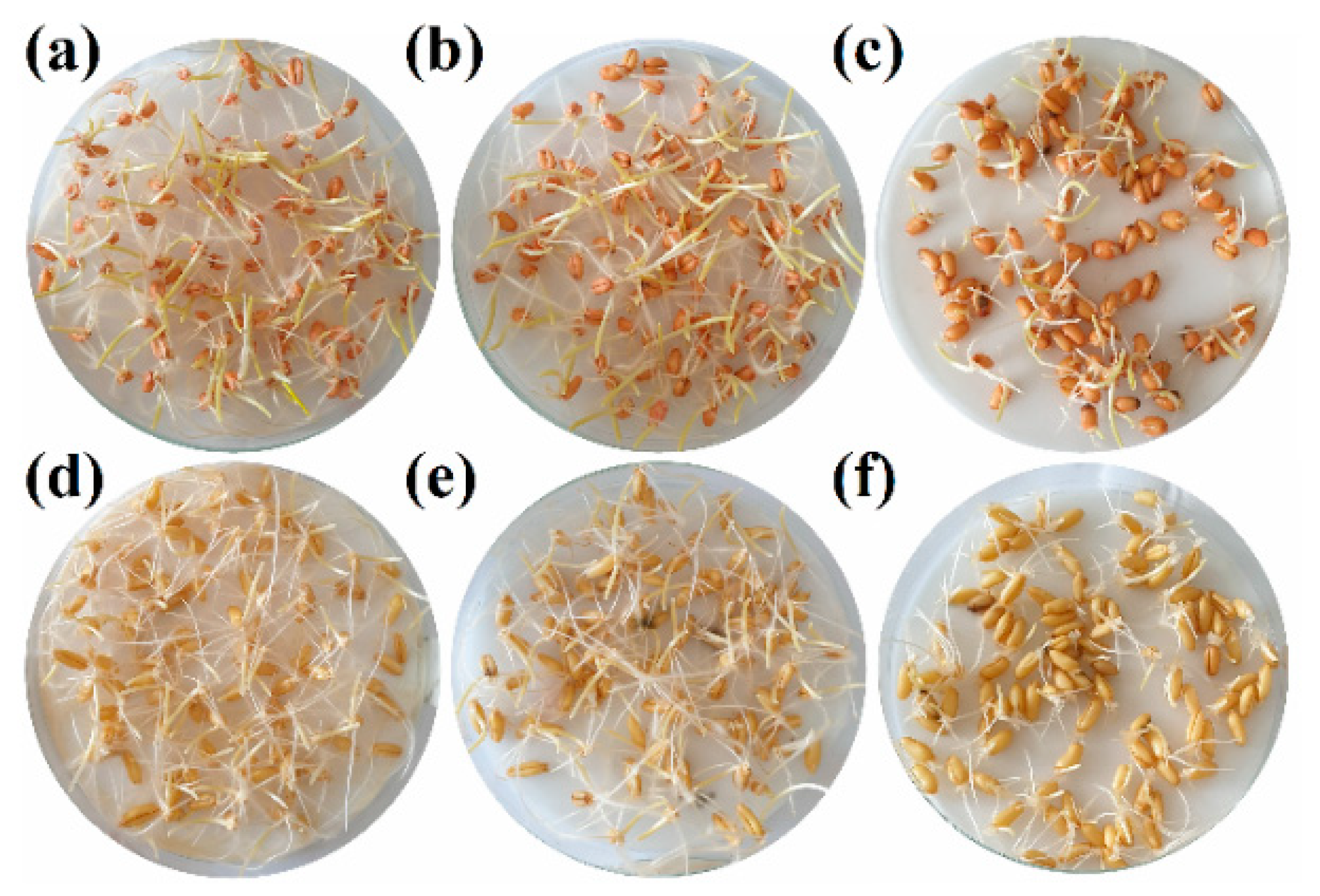 Antibiotics 09 00440 g004 Antibiotics 09 00440 g004