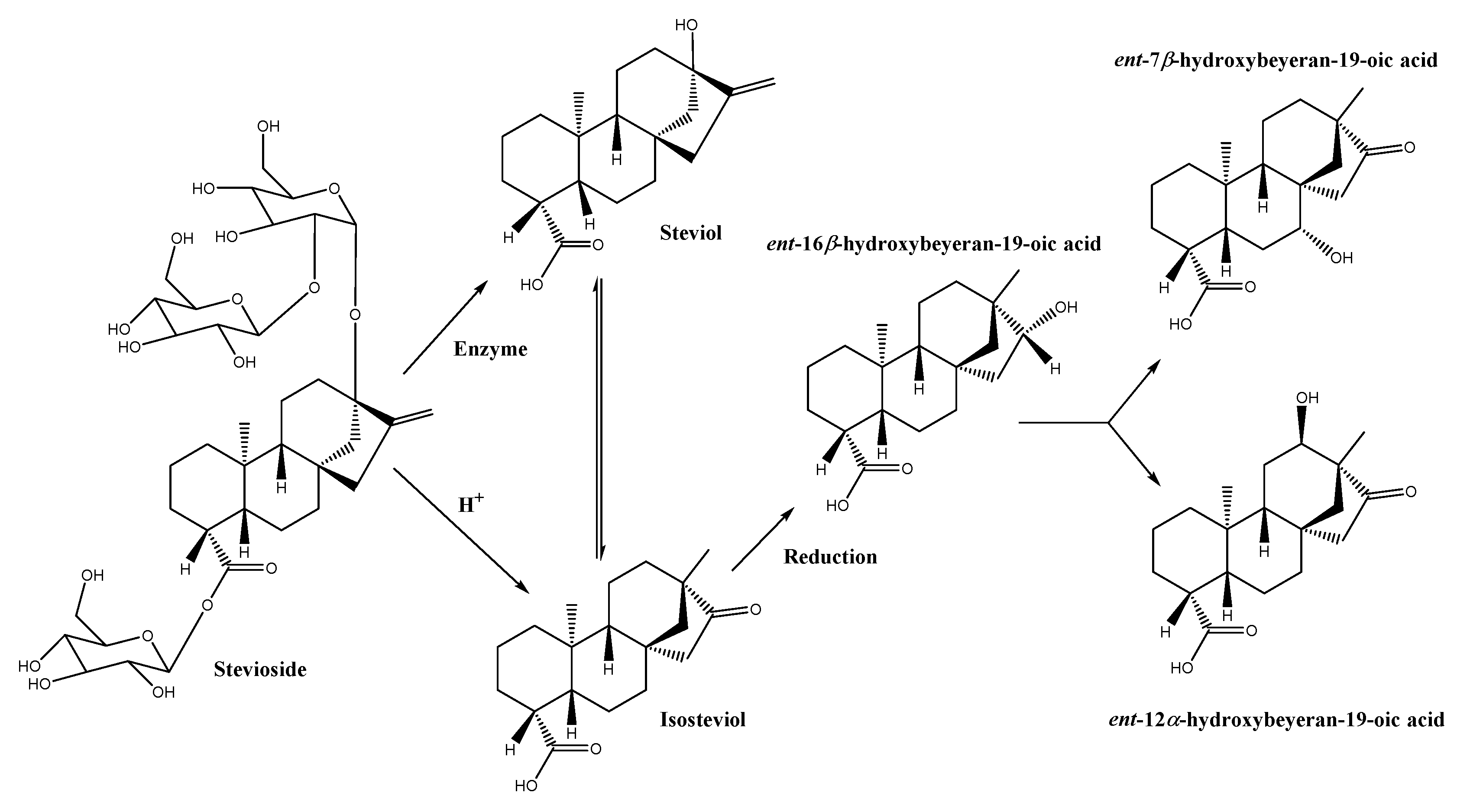 Antibiotics 09 00440 g006 Antibiotics 09 00440 g006