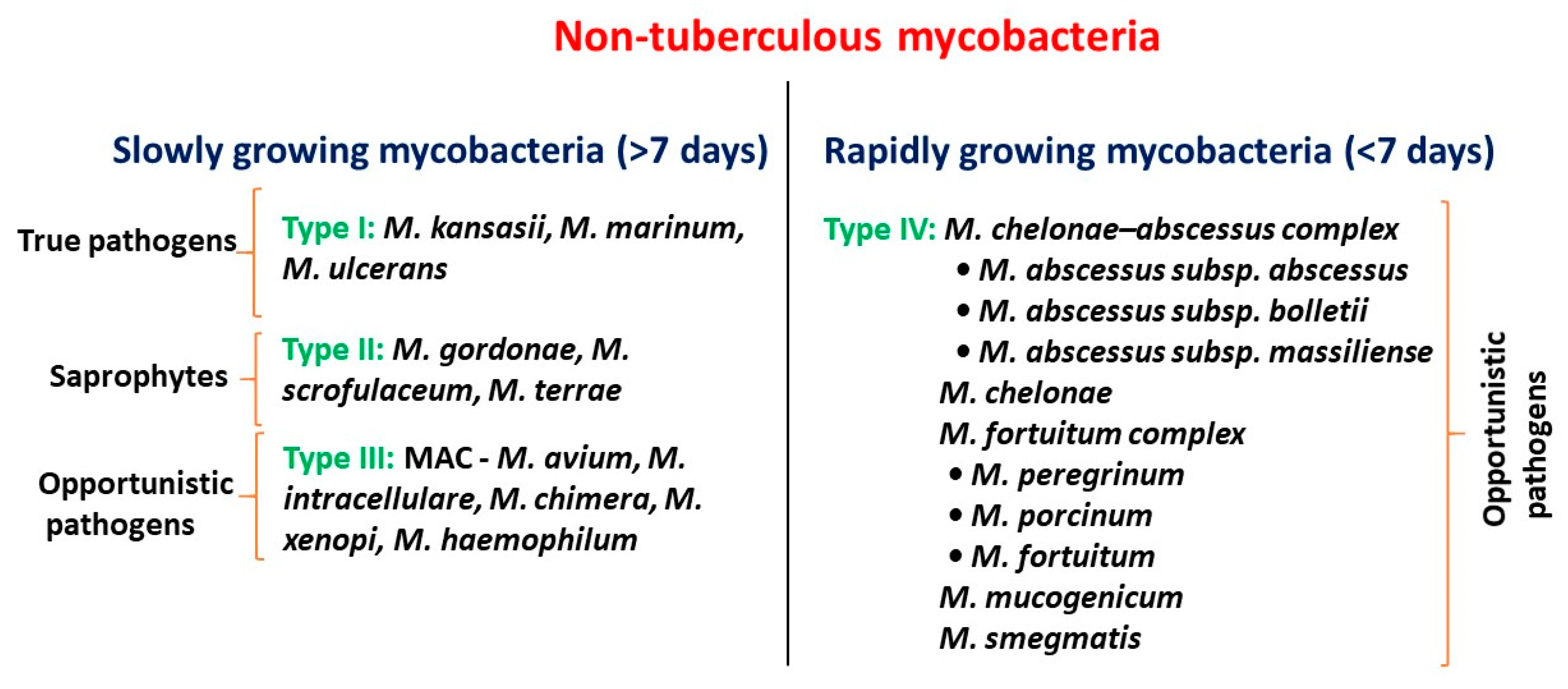 Mycobacterium Types
