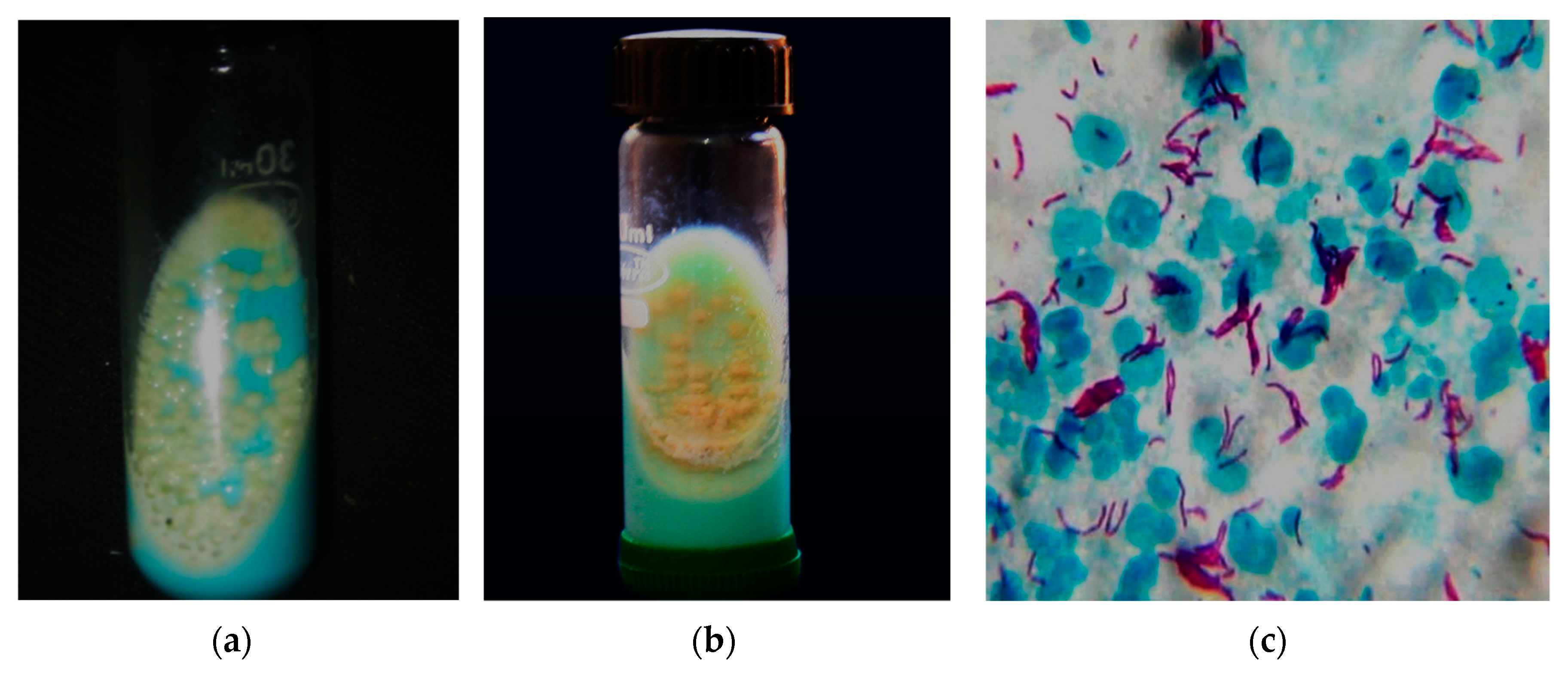 Antibiotics 09 00450 g002 Antibiotics 09 00450 g002