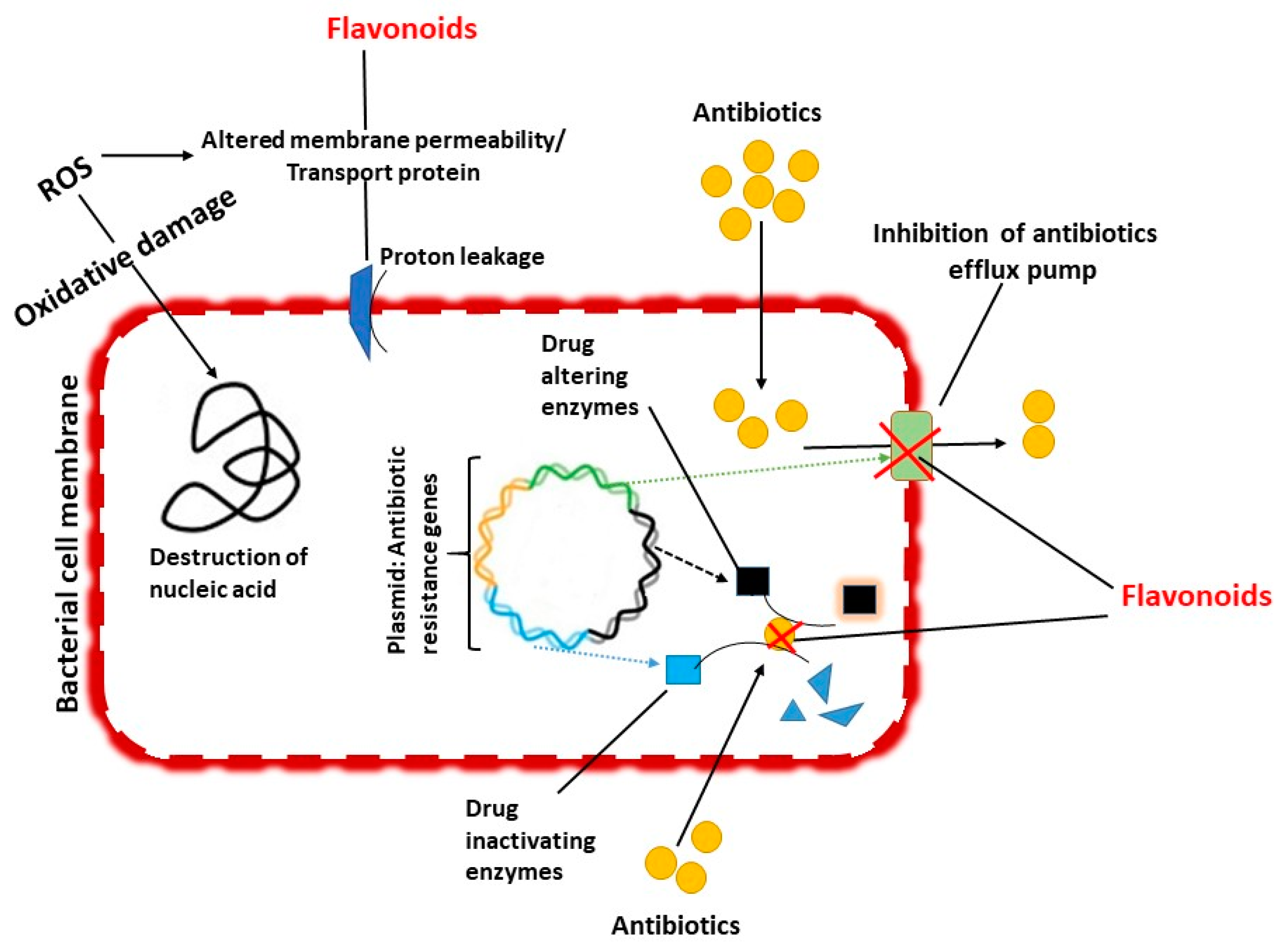 Antibiotics 09 00450 g003 Antibiotics 09 00450 g003