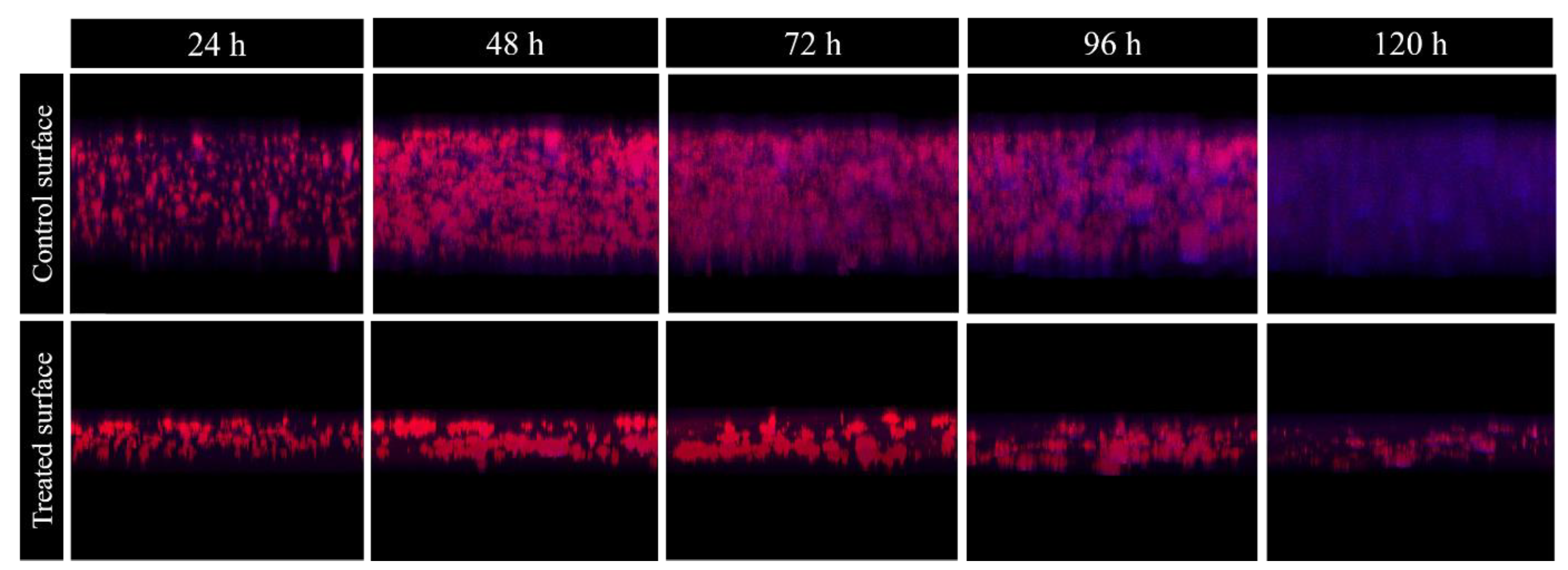 Antibiotics 09 00474 g004