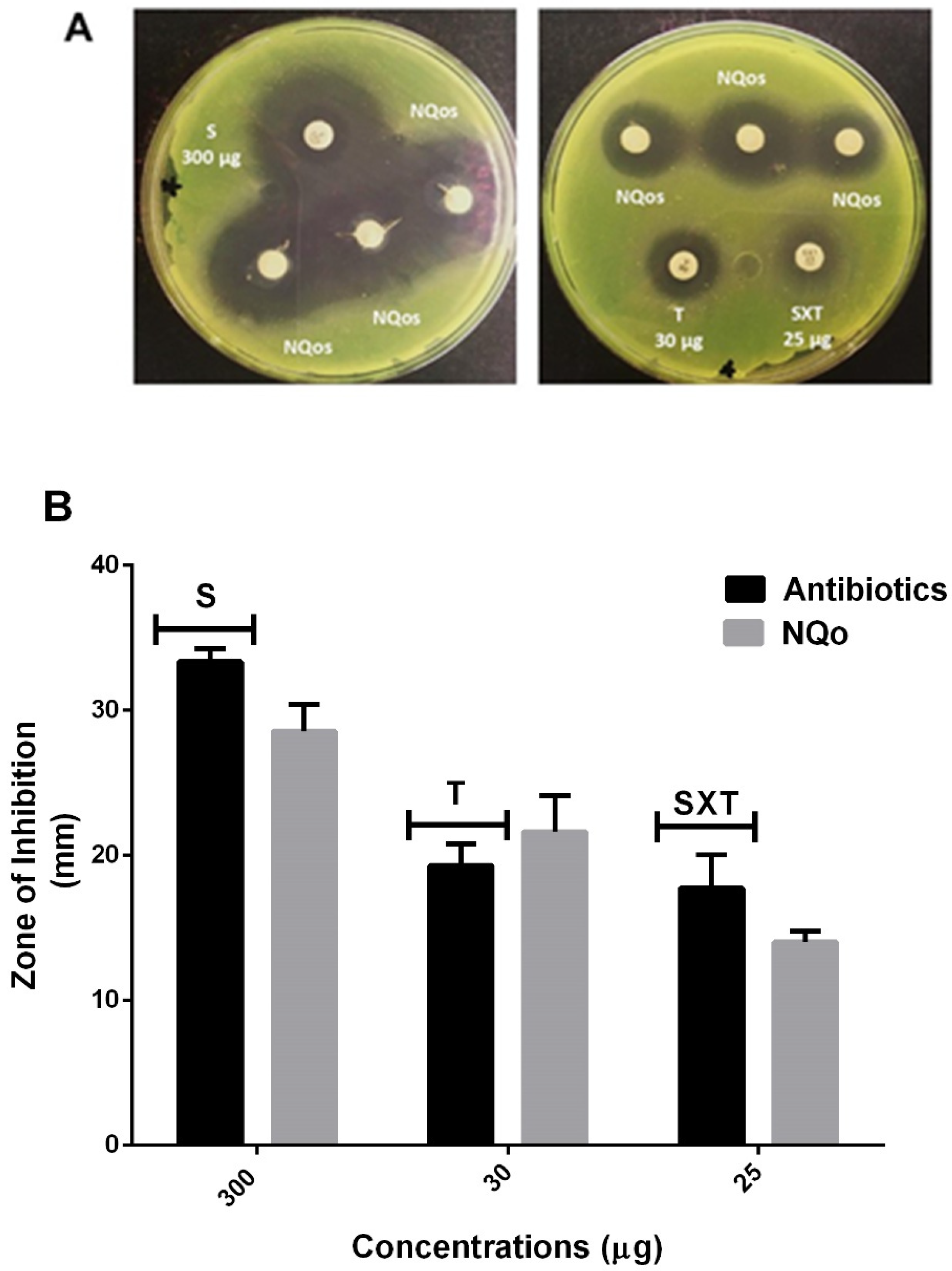 Antibiotics 09 00551 g002