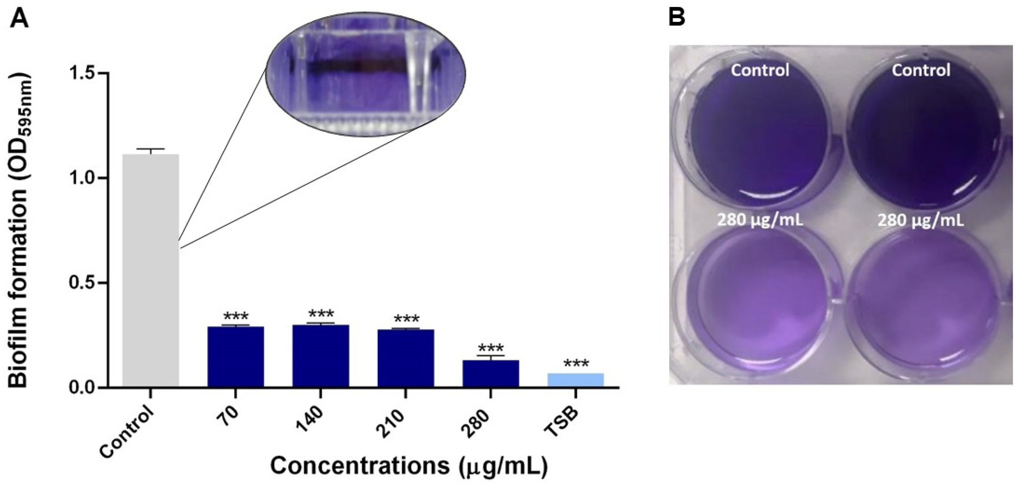 Antibiotics 09 00551 g003