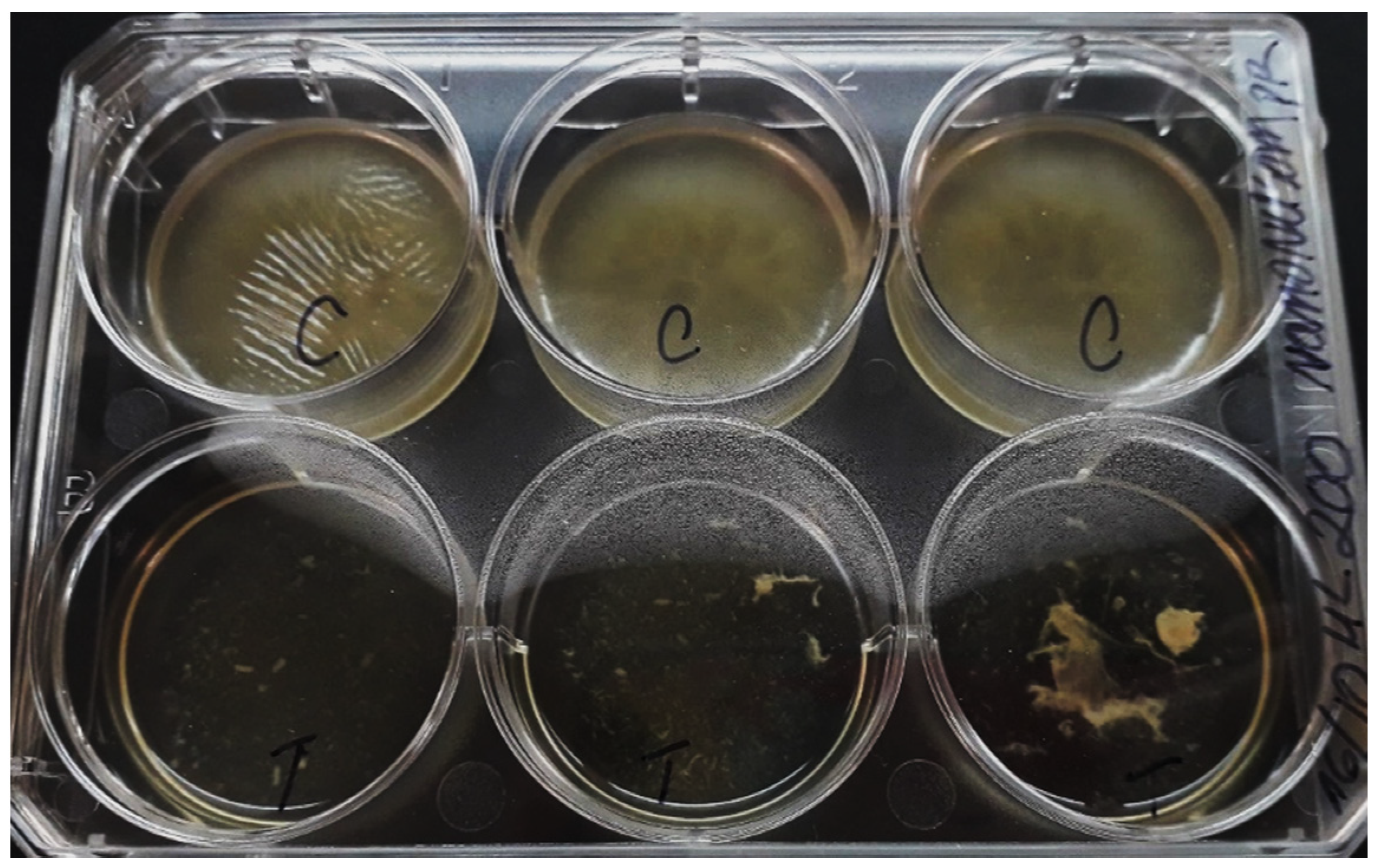 Antibiotics 09 00551 g005