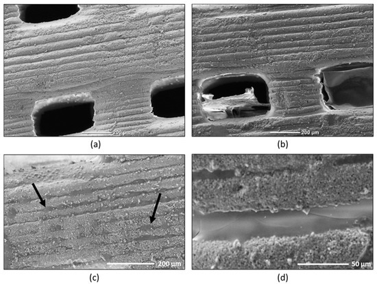 antibiotics free full text a localized phage based antimicrobial system effect of alginate on phage desorption from b tcp ceramic bone substitutes html