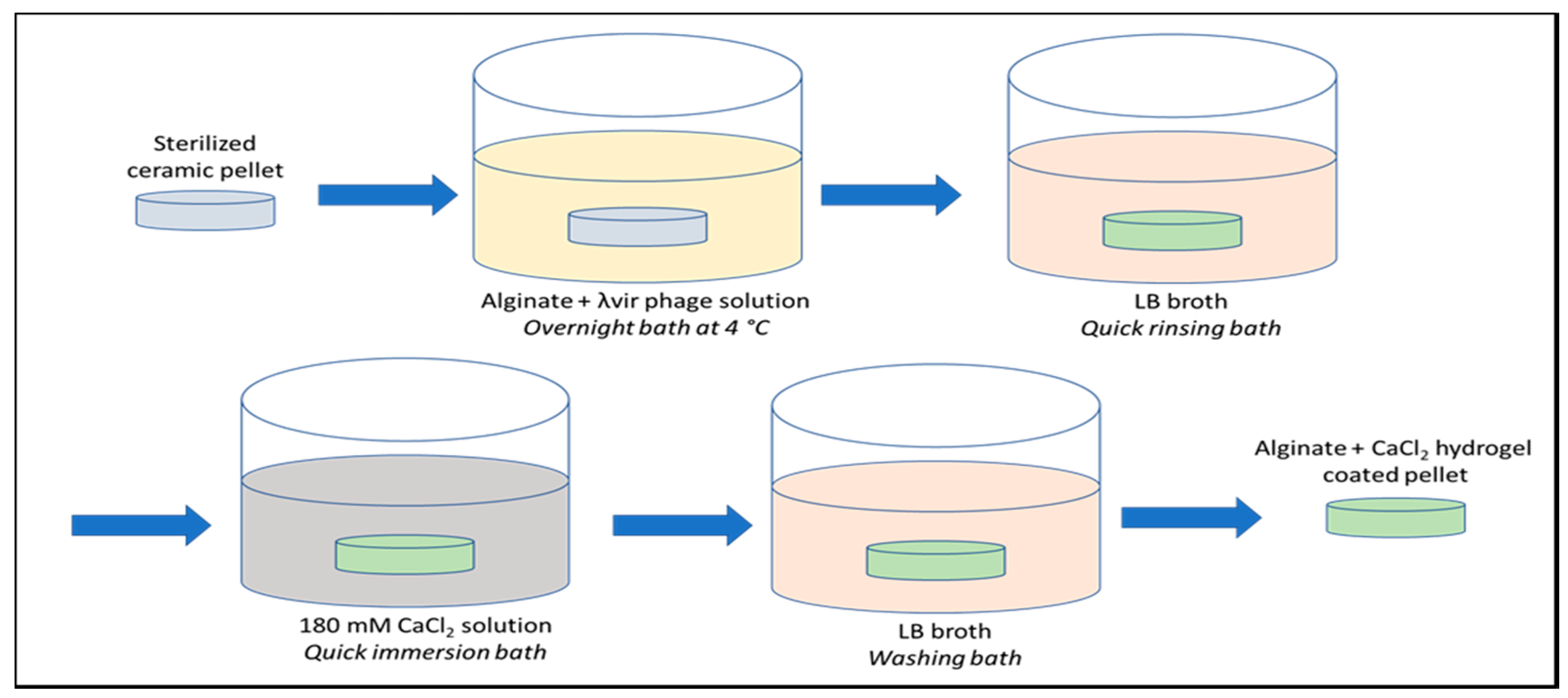 Antibiotics 09 00560 g005