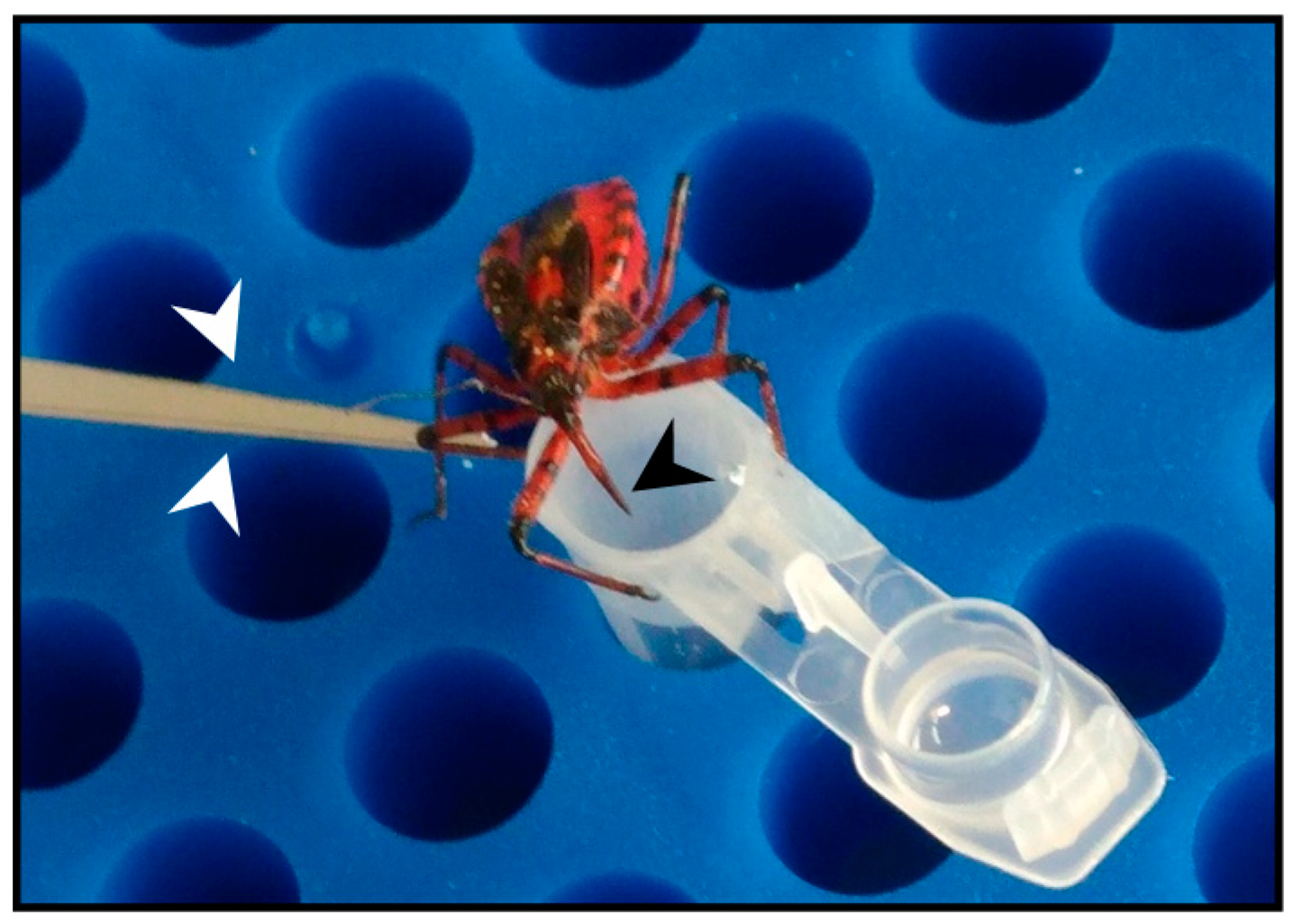 Antibiotics 09 00664 g001