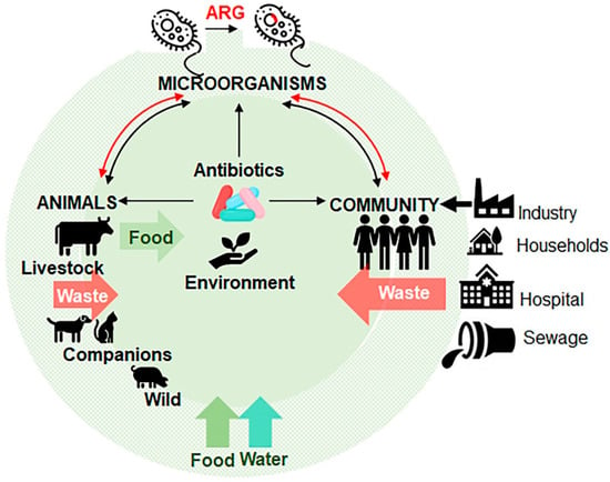 Antibiotics | Free Full-Text | Antibiotics In Food Chain: The ...